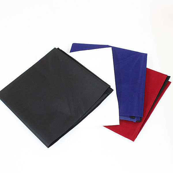 <b>4色のバックスクリーンが付属</b>