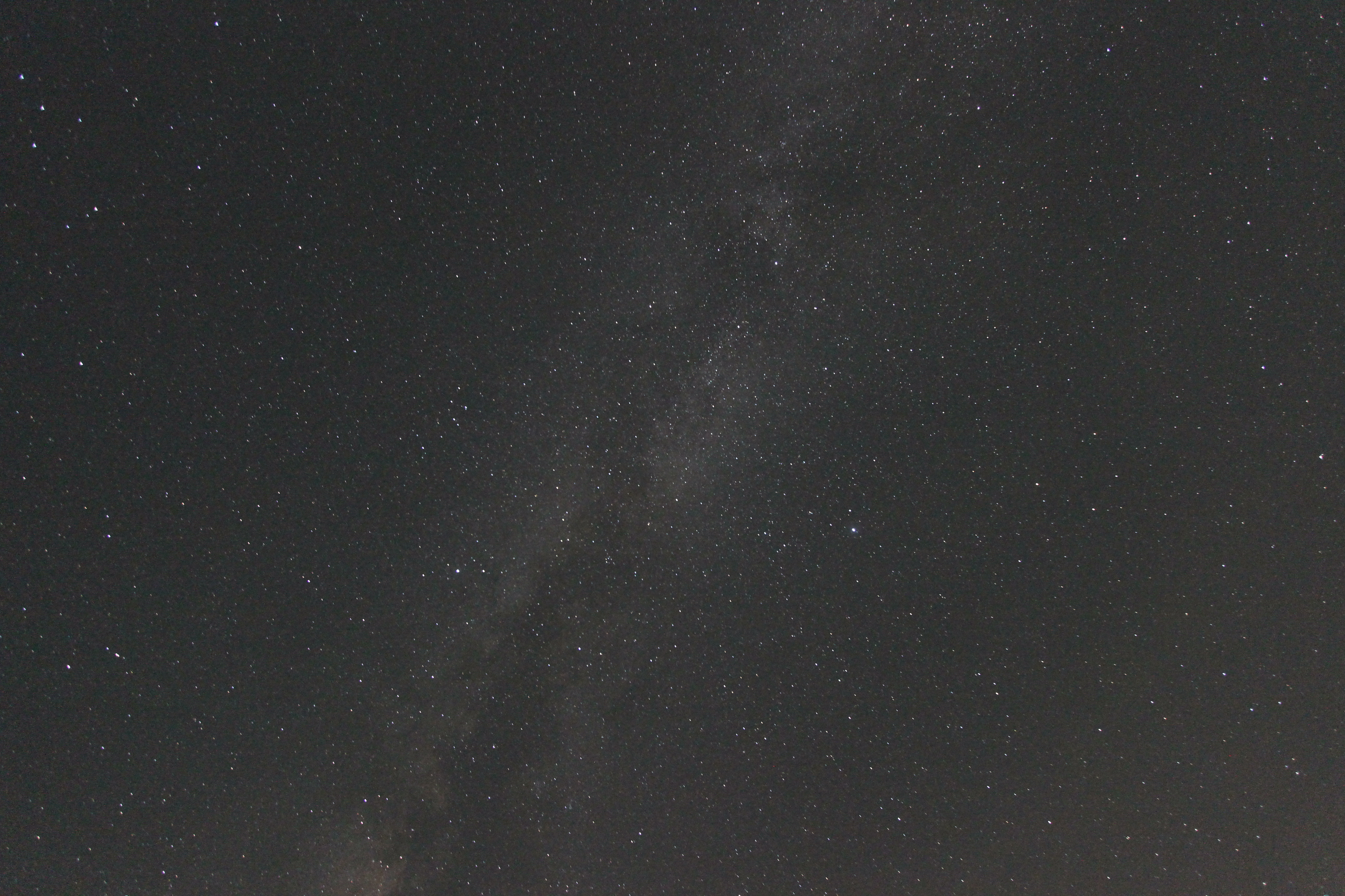 <b>ソフトフィルター未使用</b>