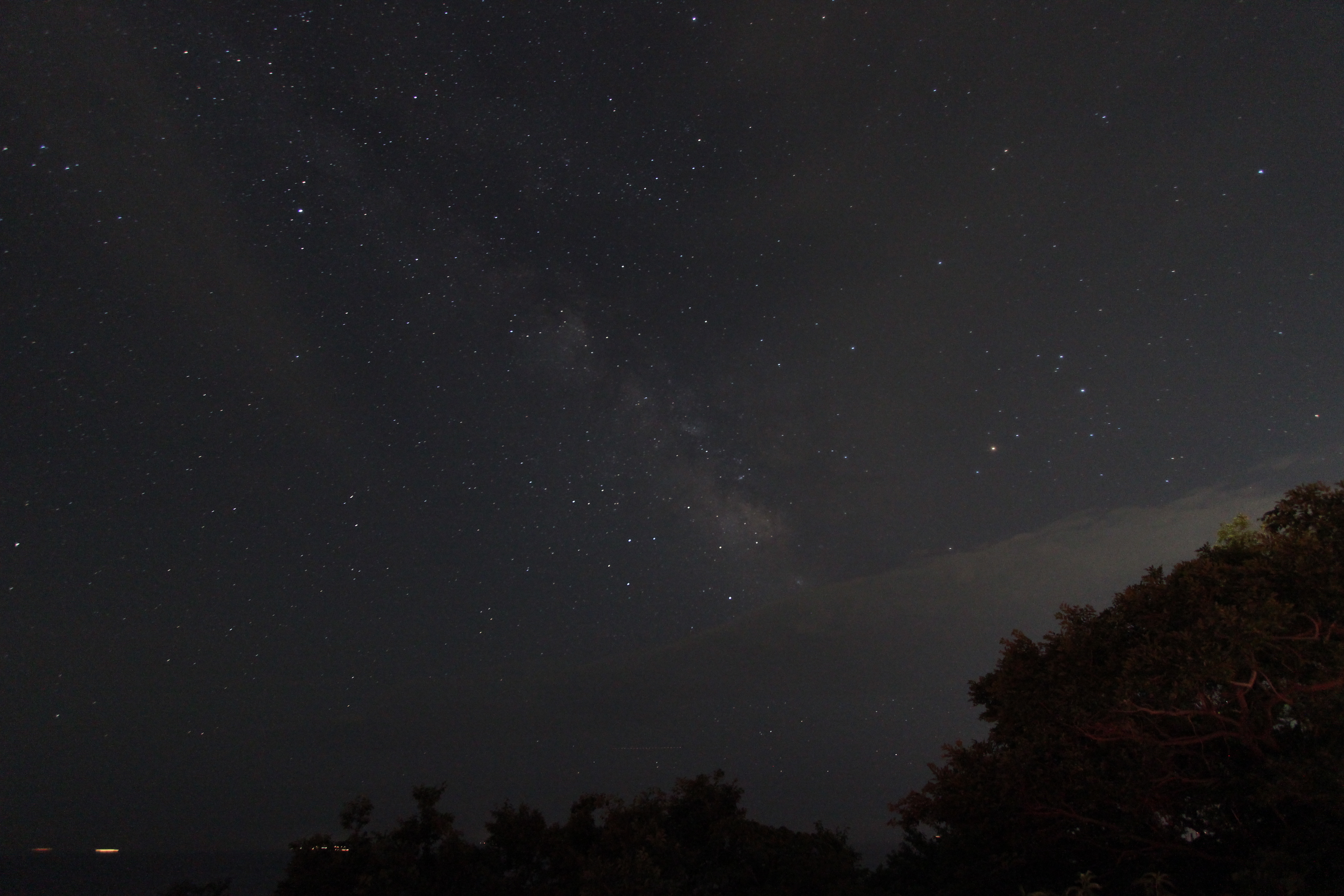 <b>手前の木々の向こう側に、遠く水平線が写っている。画面の周囲に風景を入れて撮るとカメラの傾きが気になるので、カメラの水平を出してから撮影しよう。</b>