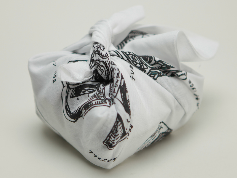 <b>ソニーNEX-5を包むことができた</b>