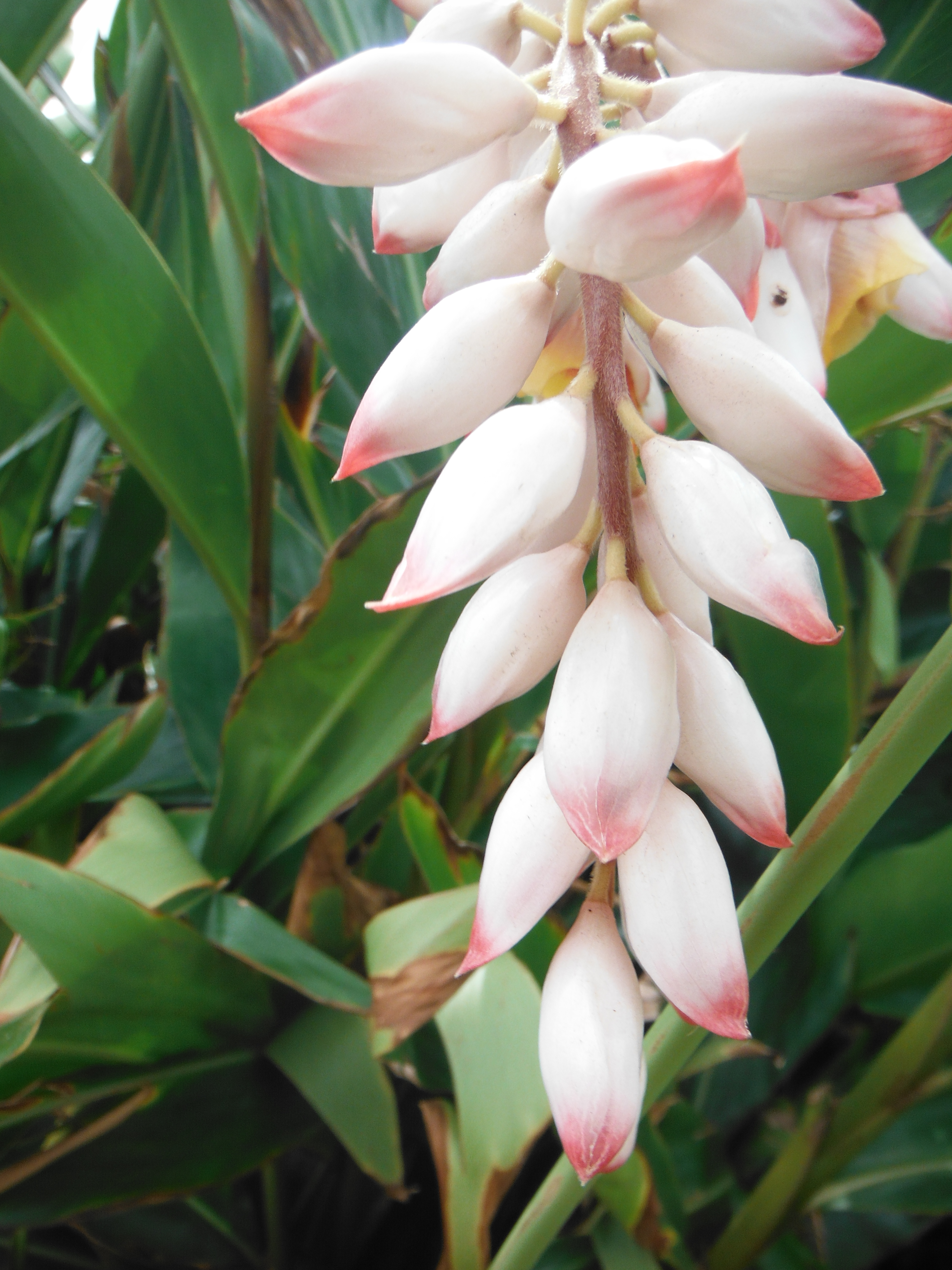 <b>FinePix XP150 / 約5.7MB / 3,240×4,320 / 1/220秒 / F4.1 / 0.0EV / ISO100 / WB:オート / 5.6mm</b>