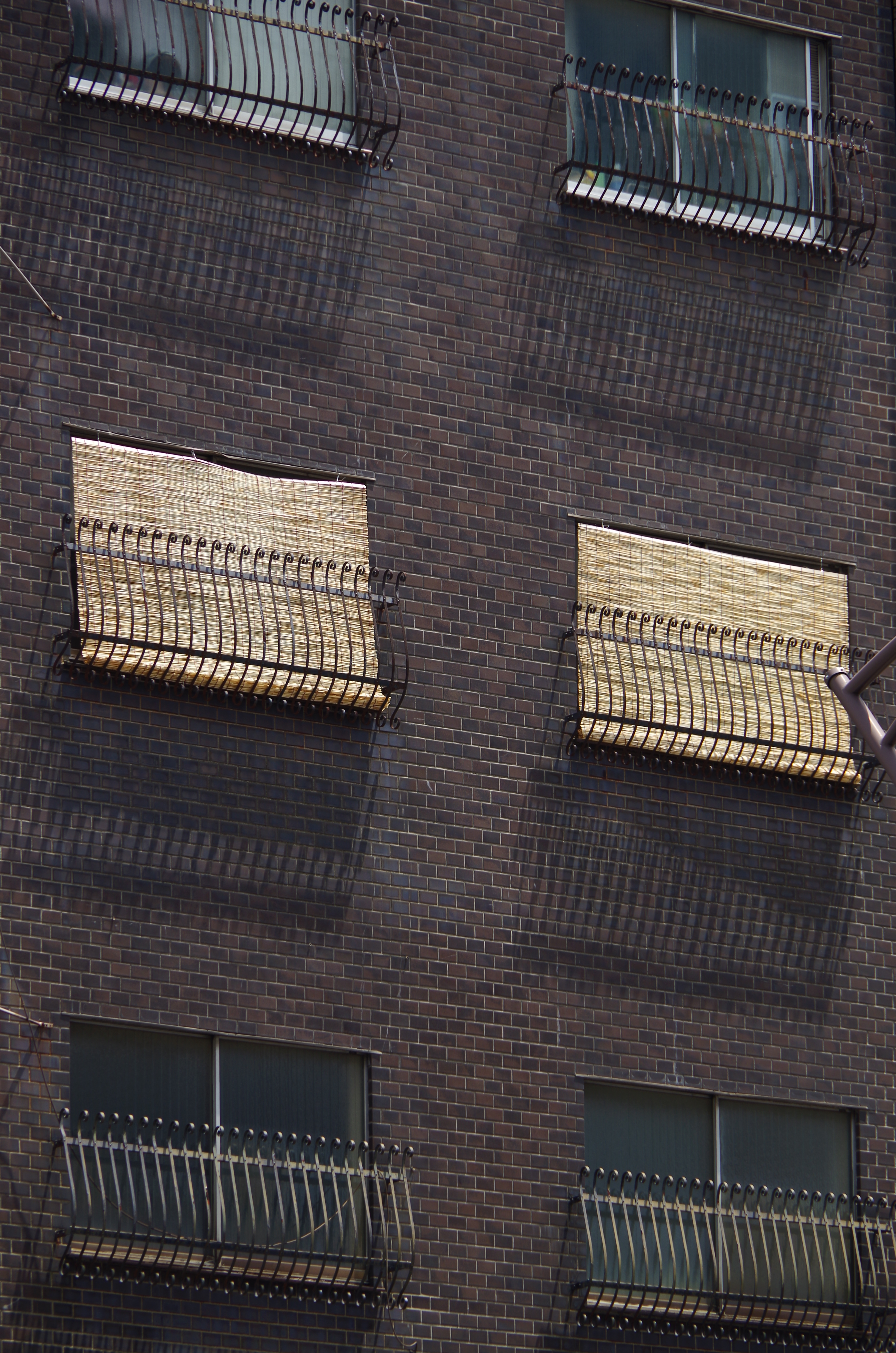 <b>K-30 / DA 18-135mm F3.5-5.6 ED AL（IF）DC WR / 約6.6MB / 3,264×4,928 / 1/200秒 / F5.6 / -0.7EV / ISO100 / 135mm</b>