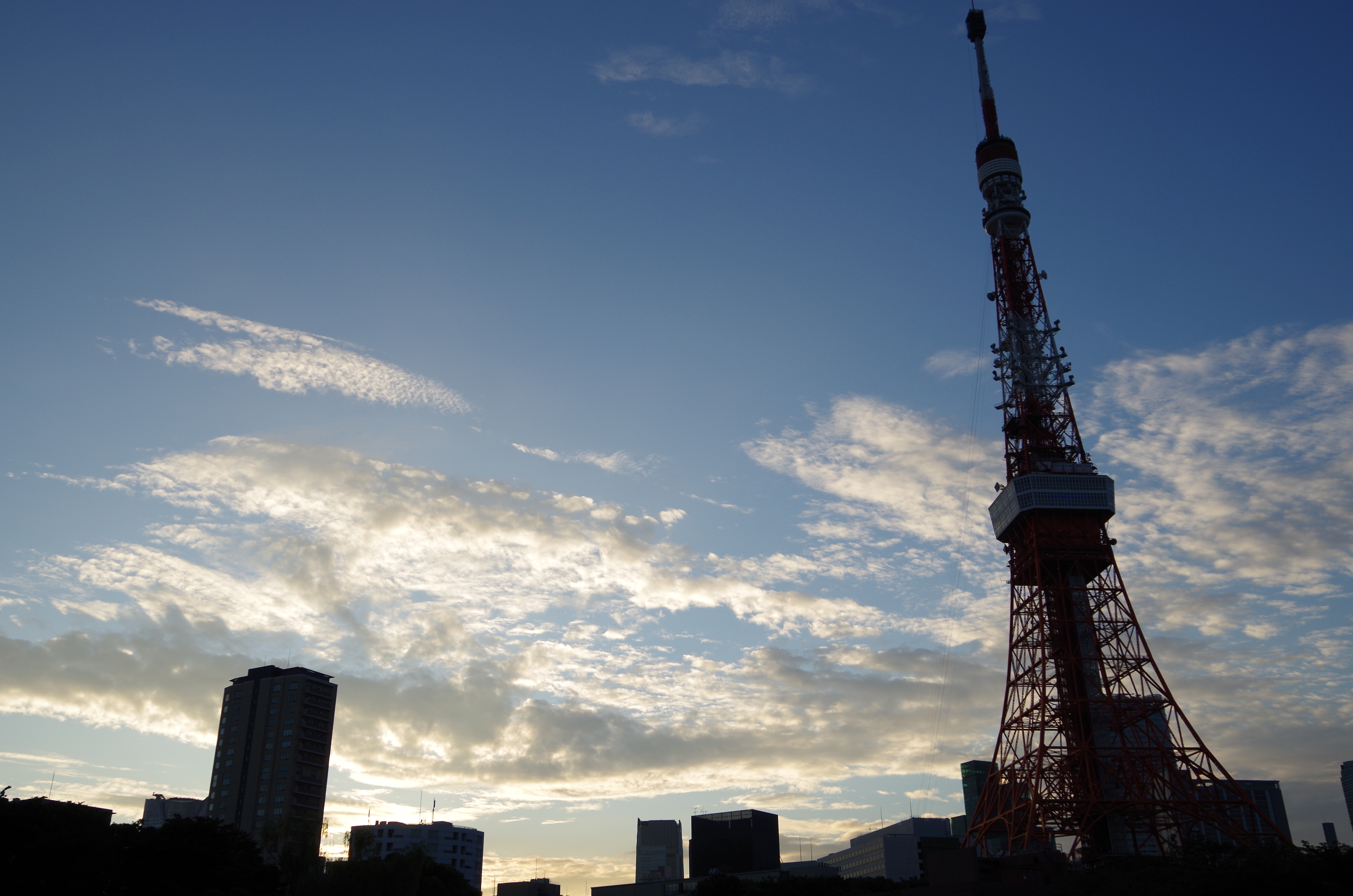 <b>K-30 / DA 18-135mm F3.5-5.6 ED AL（IF）DC WR / 約6.0MB / 4,928×3,264 / 1/200秒 / F8 / +0.3EV / ISO100 / 21mm</b>