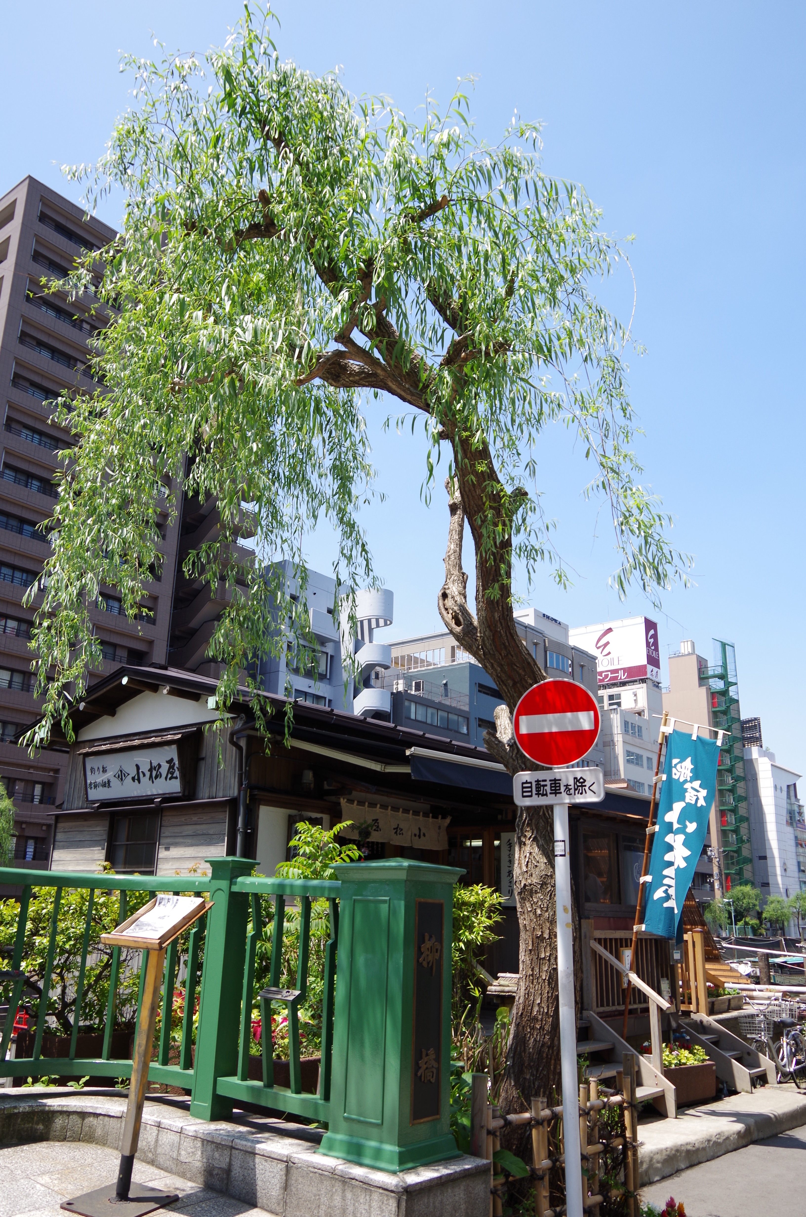 <b>K-30 / DA 18-135mm F3.5-5.6 ED AL（IF）DC WR / 約6.6MB / 3,264×4,928 / 1/125秒 / F8 / 0EV / ISO100 / 18mm</b>