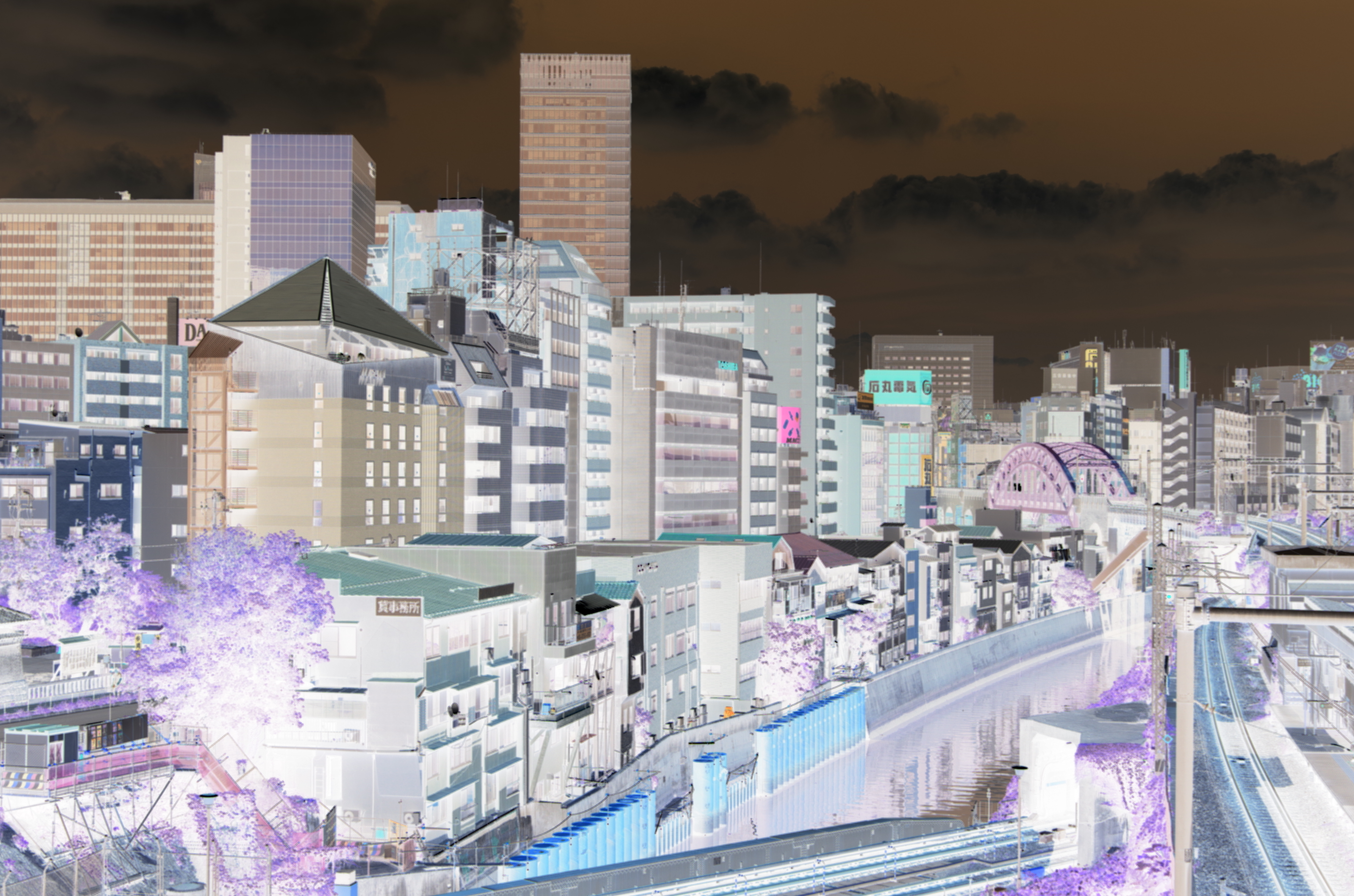 <b>デジタルフィルター：ネガポジ反転 / K-30 / DA 18-135mm F3.5-5.6 ED AL（IF）DC WR / 約7.4MB / 4,928×3,264 / 1/200秒 / F8 / 0EV / ISO100 / 31mm</b>