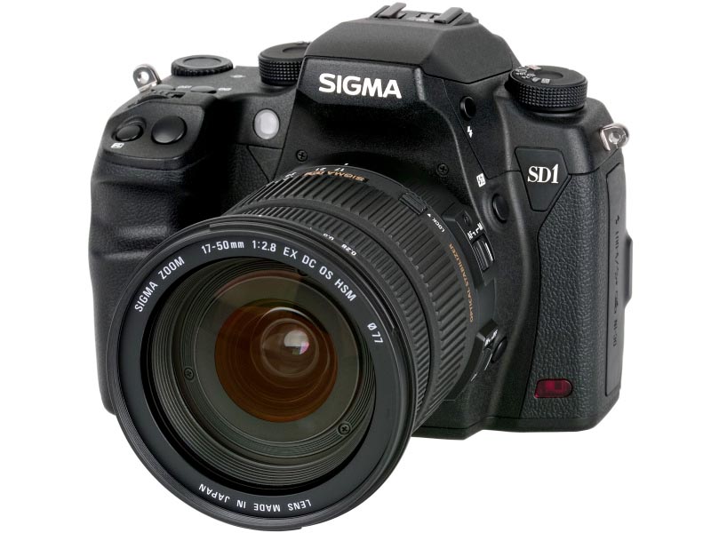 <b>SIGMA SD1 Merrill</b>