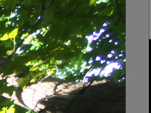 <b>自動的に倍率色収差が補正される。素晴らしい。</b>