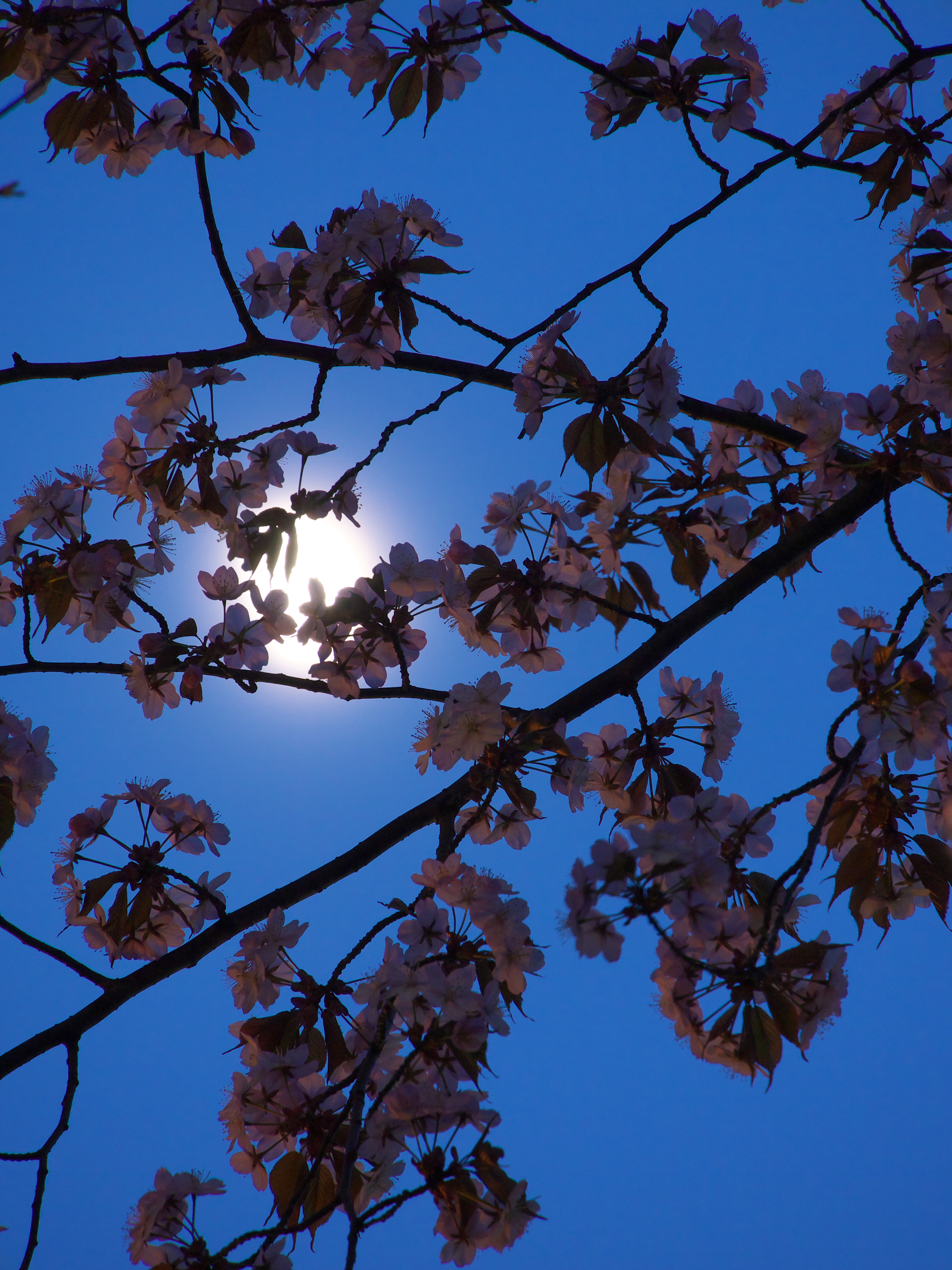 <b>無調整で現像した画像</b>