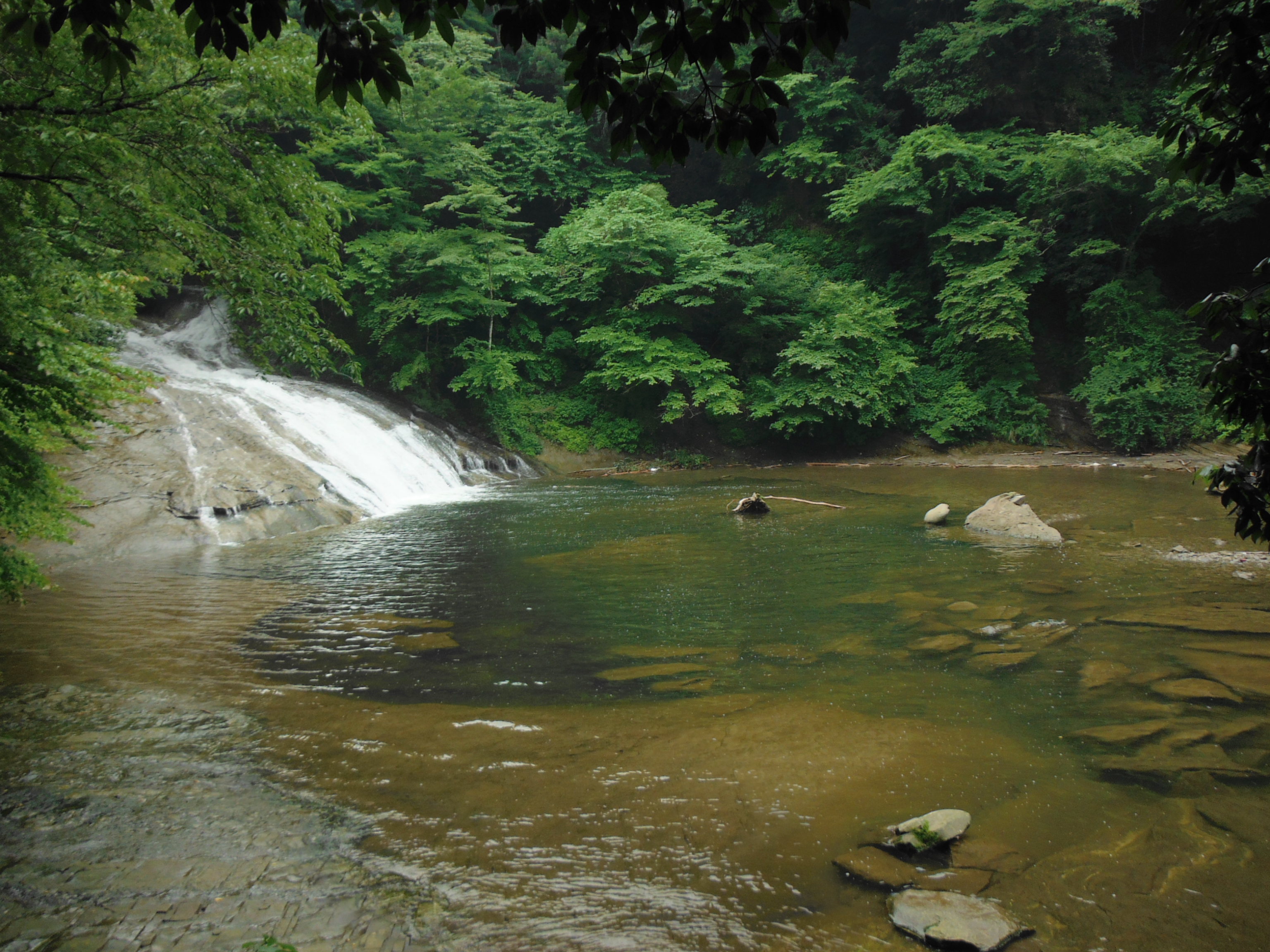 <b>こちらはダイナミックレンジ優先ON。白とびが抑えられた。FinePix XP50 / 約3.3MB / 3,072×2,304 / 1/220秒 / F3.9 / 0.0EV / ISO100 / WB:オート / 5mm</b>