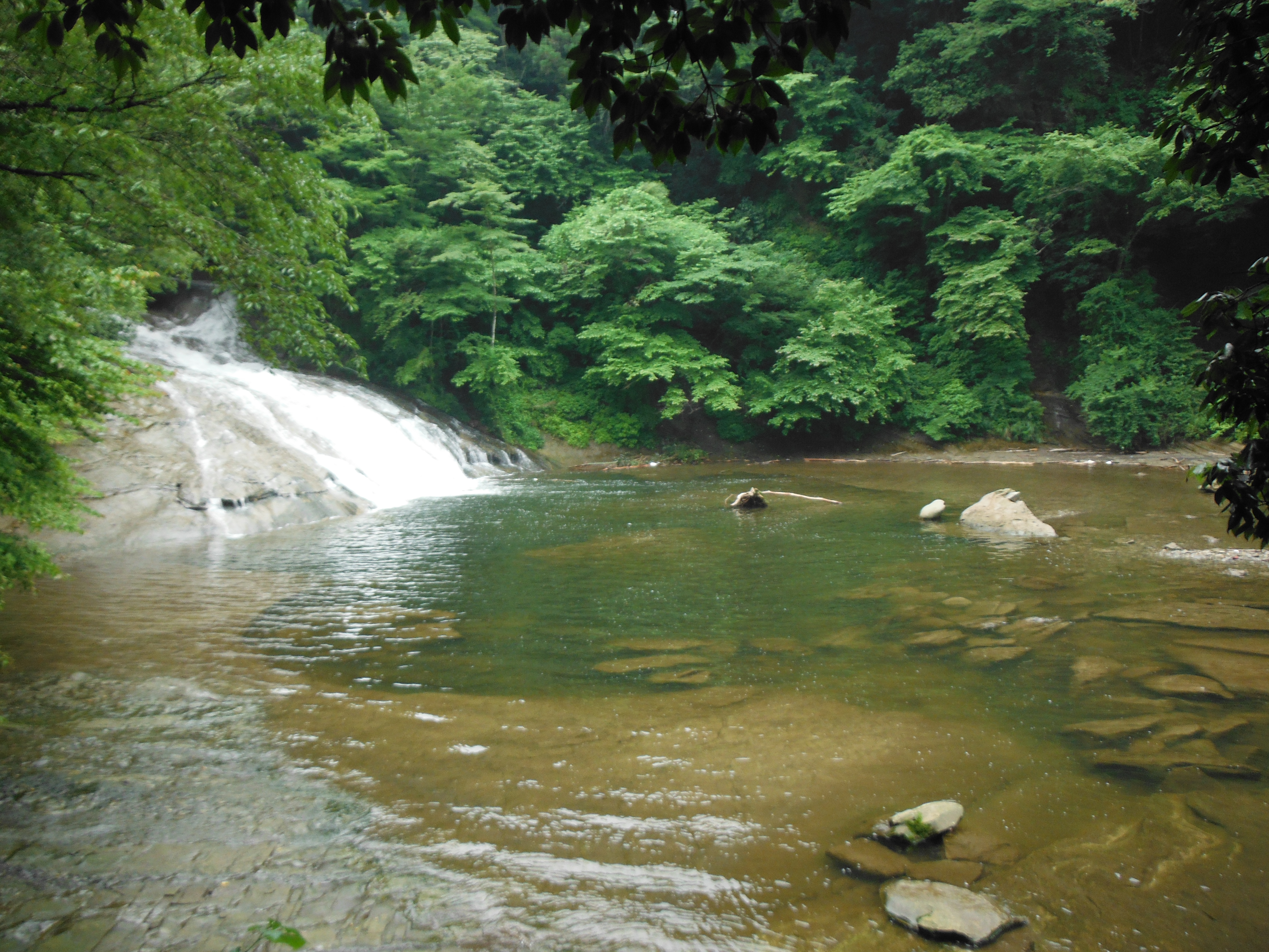 <b>渓流は明暗差が大きい場面に良く出くわす。そんなときは「ダイナミックレンジ優先」（機種によってはHDRなど）を使うと、白とびや黒つぶれを抑えられる。写真はダイナミックレンジ優先OFF</b>