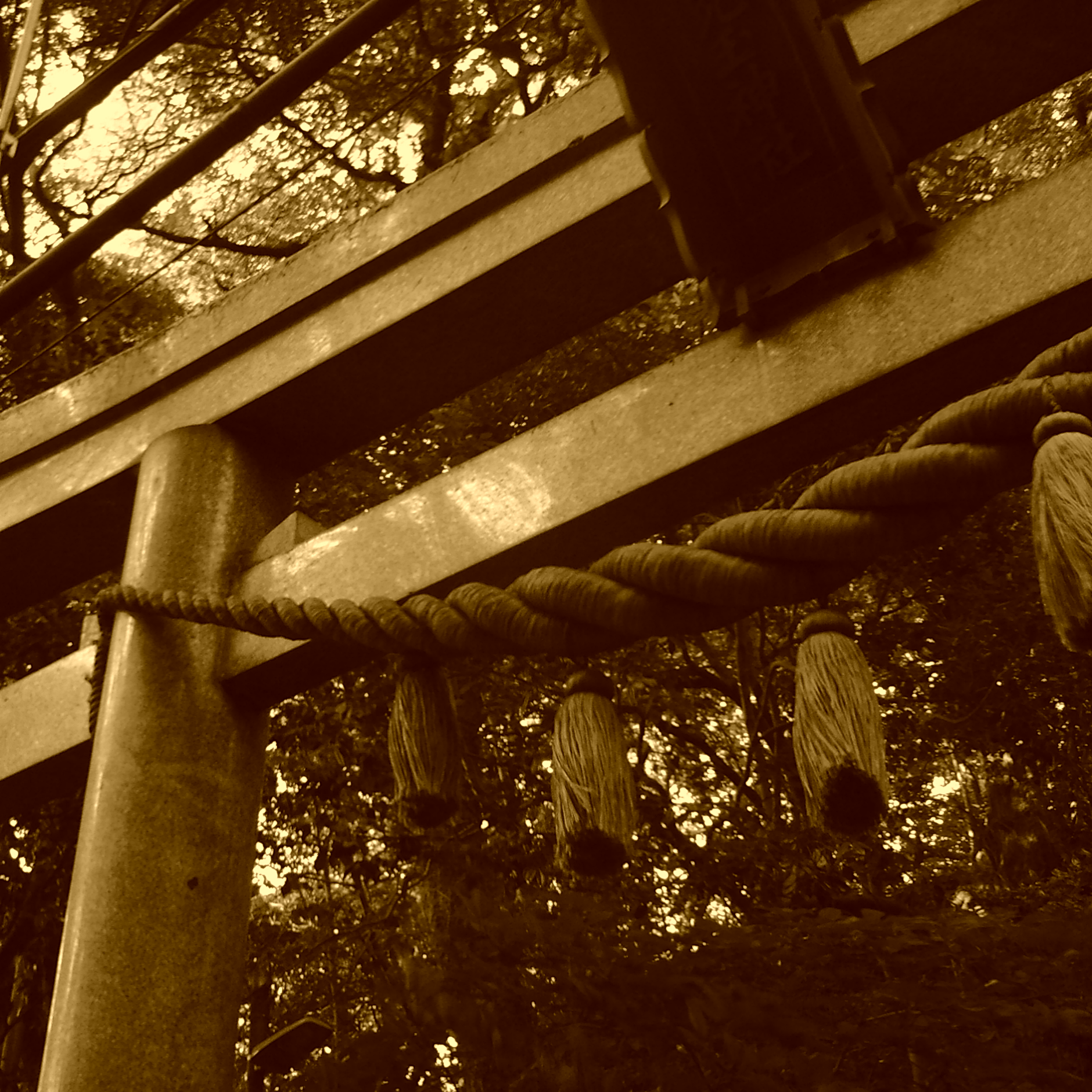 <b>カラーモード：SEPIA / AMPEL / 約1.6MB / 2,240×2,240 / 1/30秒 / F2.8 / 0EV / ISO100 / スタンダードレンズ</b>