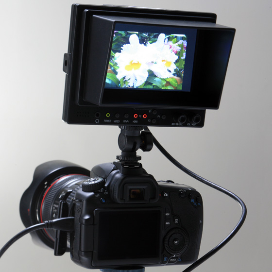 <b>アクセサリーシューへの装着例（HDM-N5C）</b>