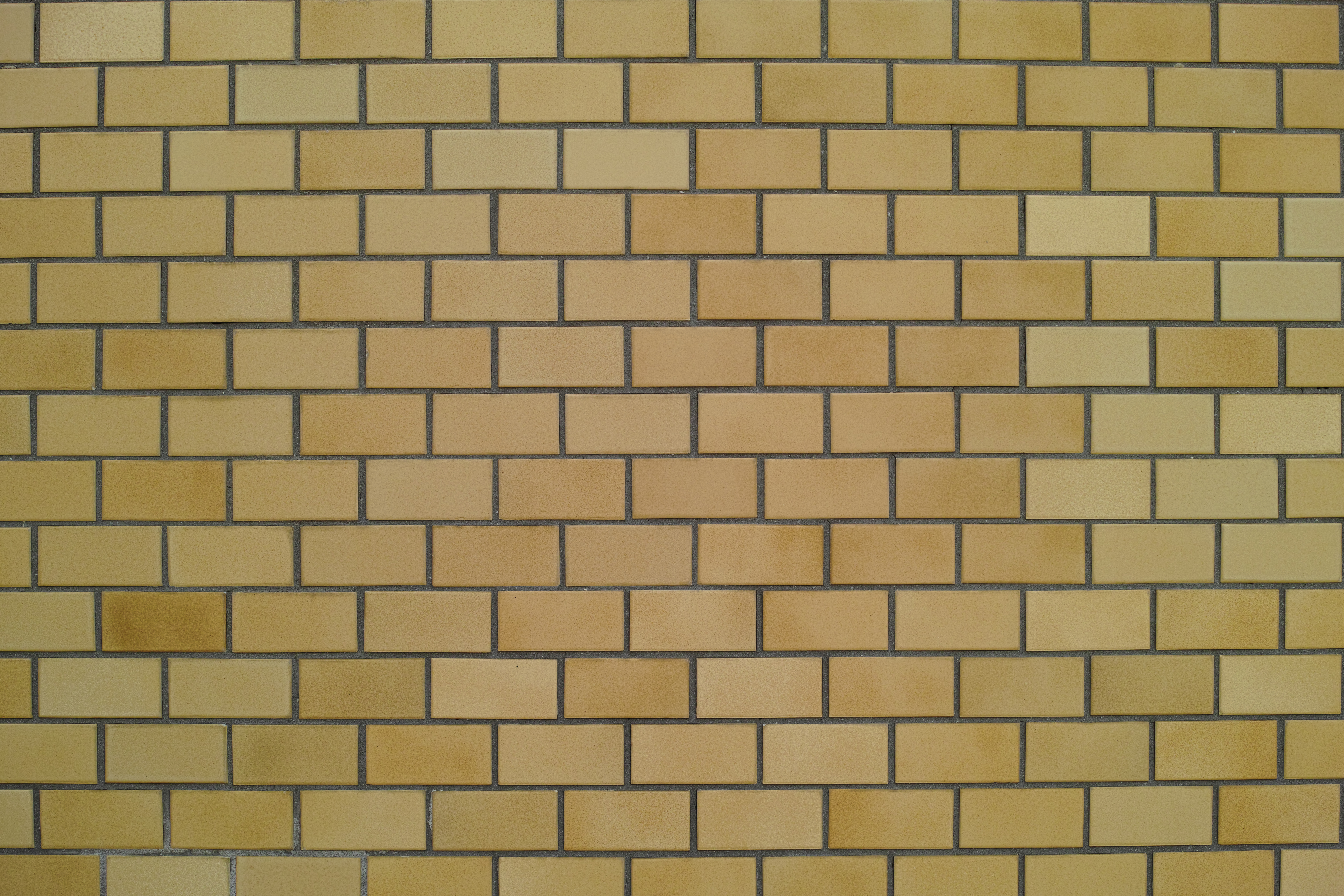 <b>DP2 Merrill / RAWからJPEGに現像 / 約5.5MB / 4,704×3,136 / 1/200秒 / F4 / +0.7EV / ISO100 / WB:オート</b>