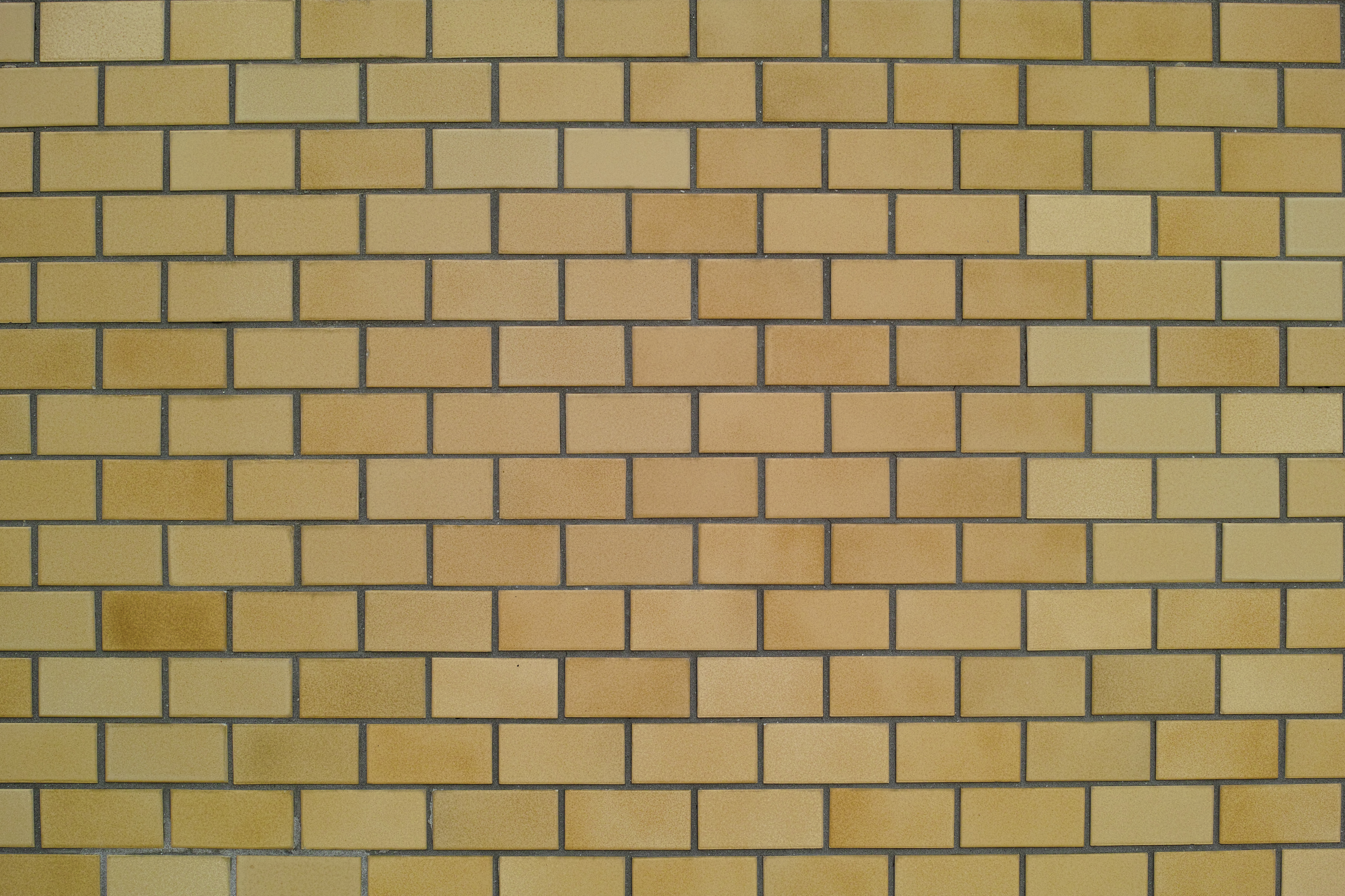 <b>DP2 Merrill / RAWからJPEGに現像 / 約5.6MB / 4,704×3,136 / 1/100秒 / F5.6 / +0.7EV / ISO100 / WB:オート</b>