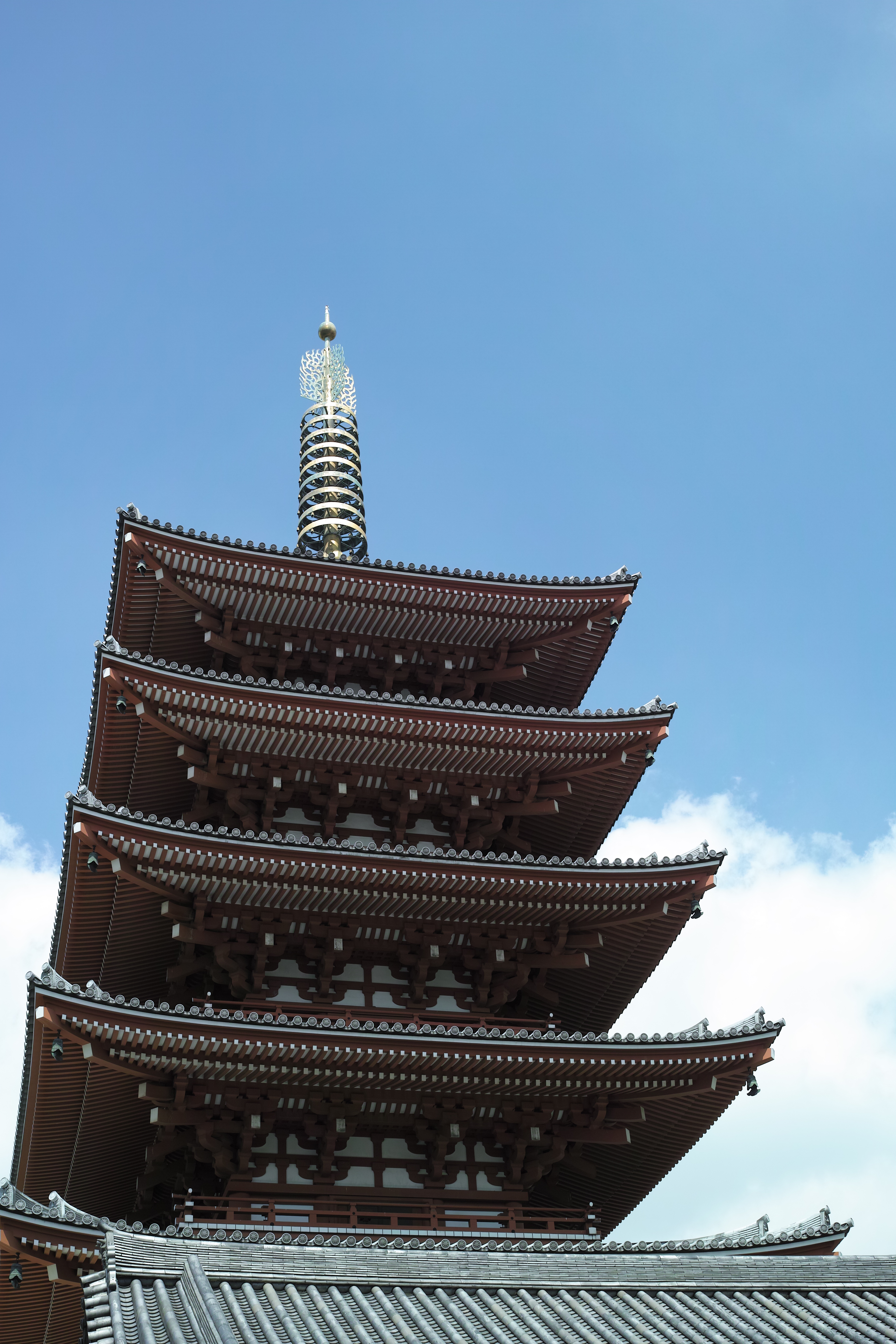 <b>DP2 Merrill / JPEG / 約7.2MB / 3,136×4,704 / 1/250秒 / F8 / -0.3EV / ISO100 / WB:オート</b>