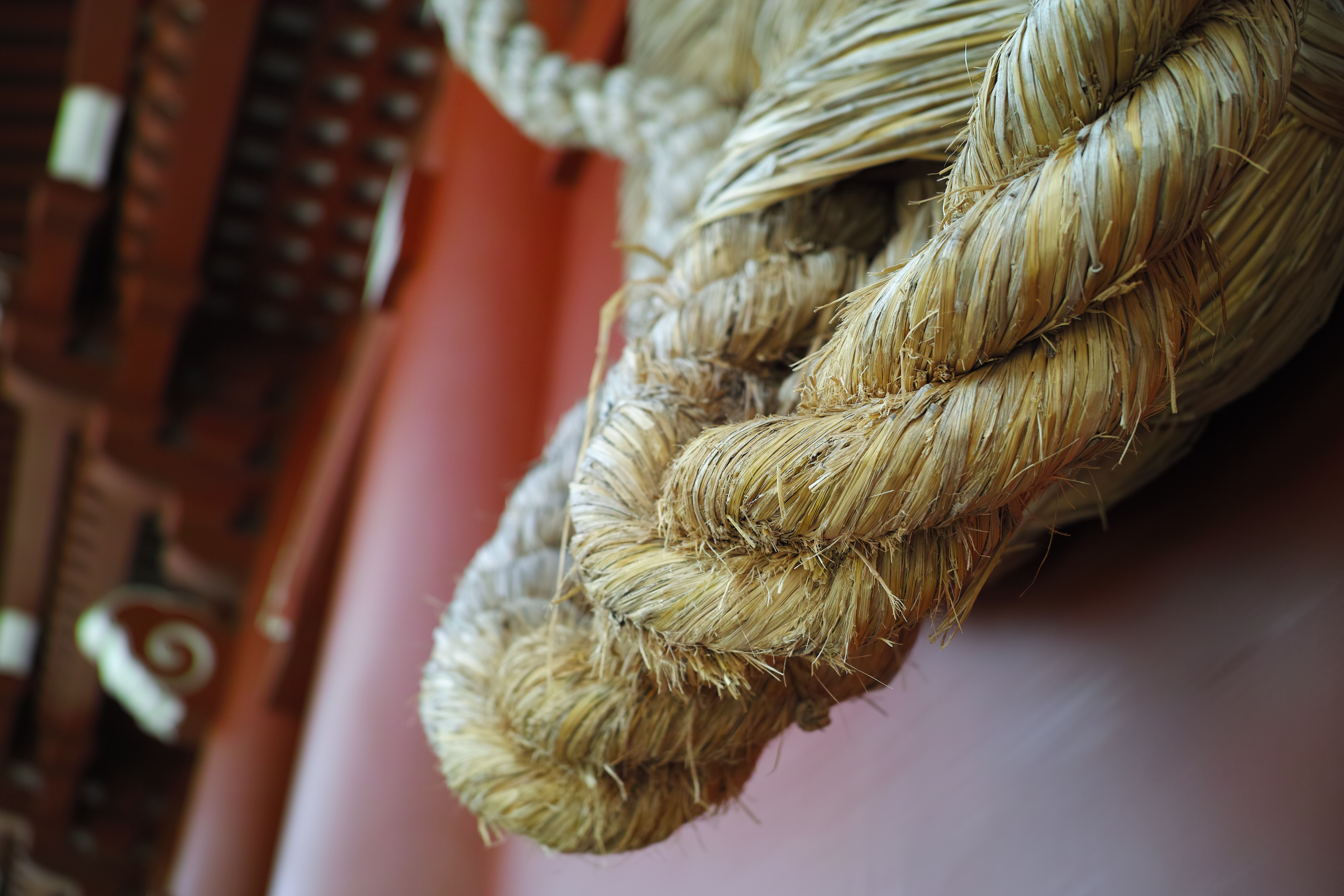 <b>DP2 Merrill / JPEG / 約7.4MB / 4,704×3,136 / 1/320秒 / F2.8 / +0.3EV / ISO100 / WB:オート</b>