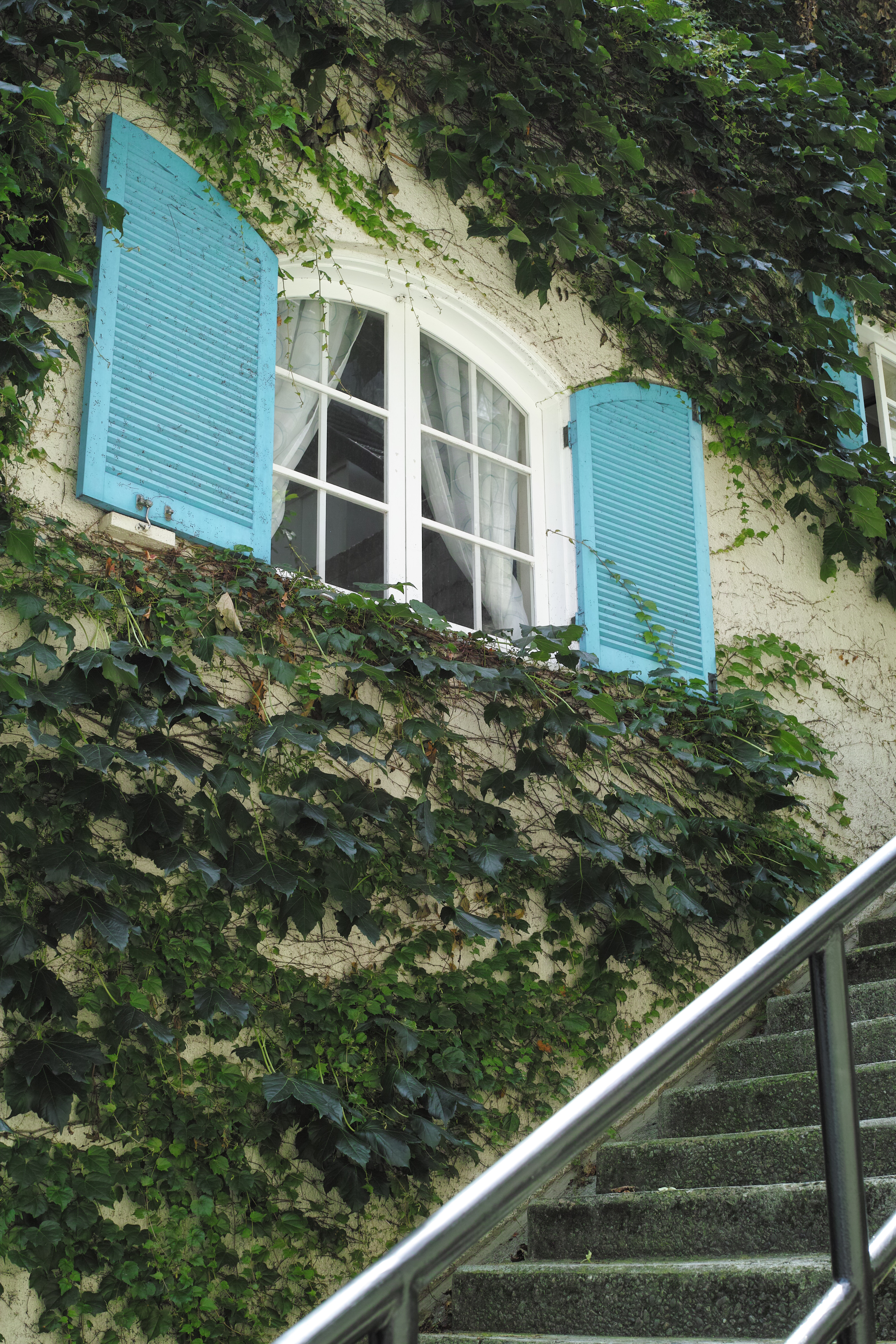 <b>DP2 Merrill / JPEG / 約5.7MB / 3,136×4,704 / 1/125秒 / F5.6 / +0.3EV / ISO200 / WB:オート</b>