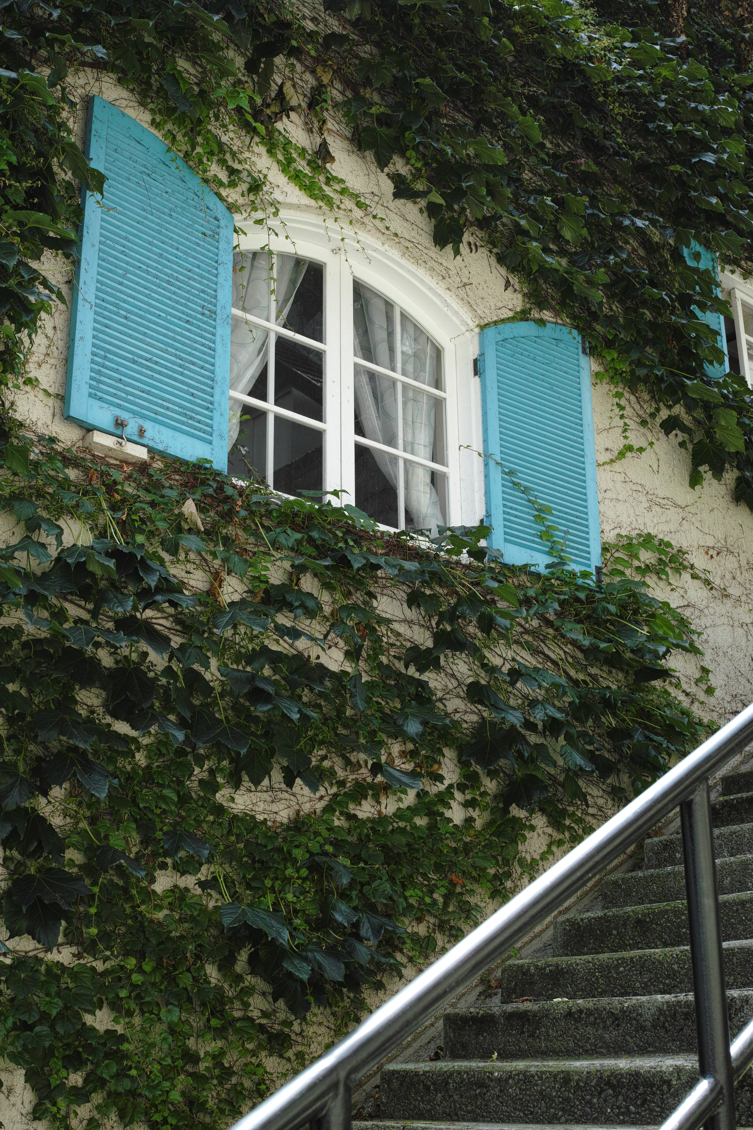 <b>DP2 Merrill / RAWからJPEGに現像 / 約7.0MB / 3,136×4,704 / 1/125秒 / F5.6 / +0.3EV / ISO200 / WB:オート</b>