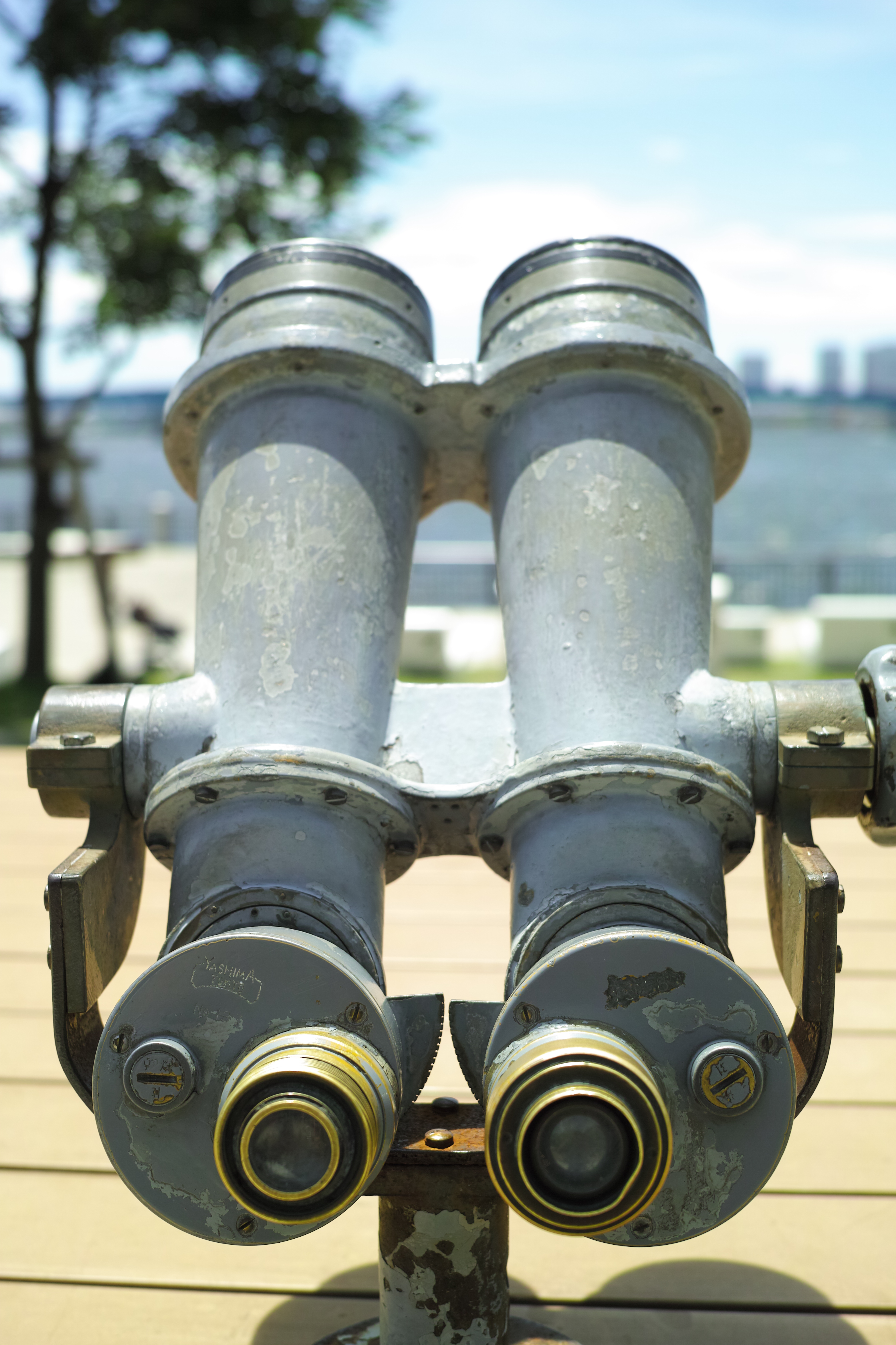 <b>DP2 Merrill / JPEG / 約6.3MB / 3,136×4,704 / 1/640秒 / F4 / +0.7EV / ISO100 / WB:オート</b>