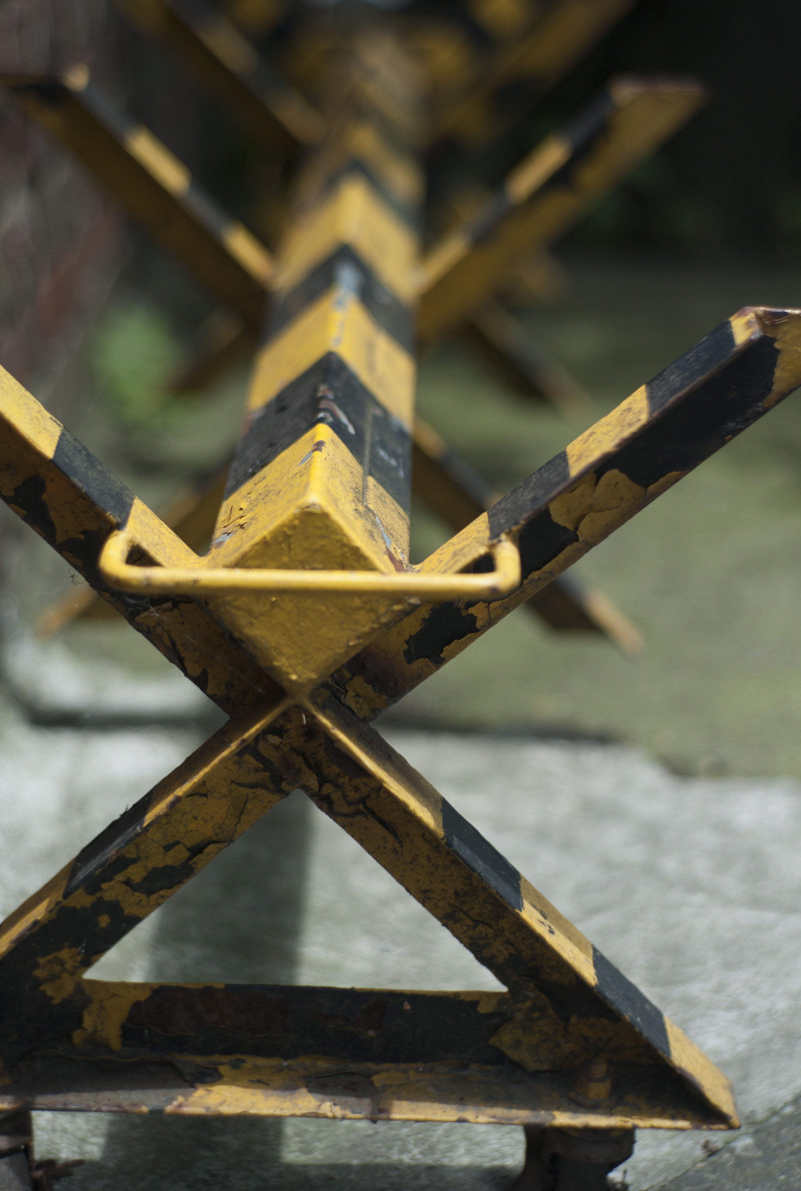 <b>M8 / Opton Sonnar 50mm F1.5 / 3,916×2,634 / 1/2,000秒 / F2 / 0EV / ISO160 / WB:オート / 50mm</b>