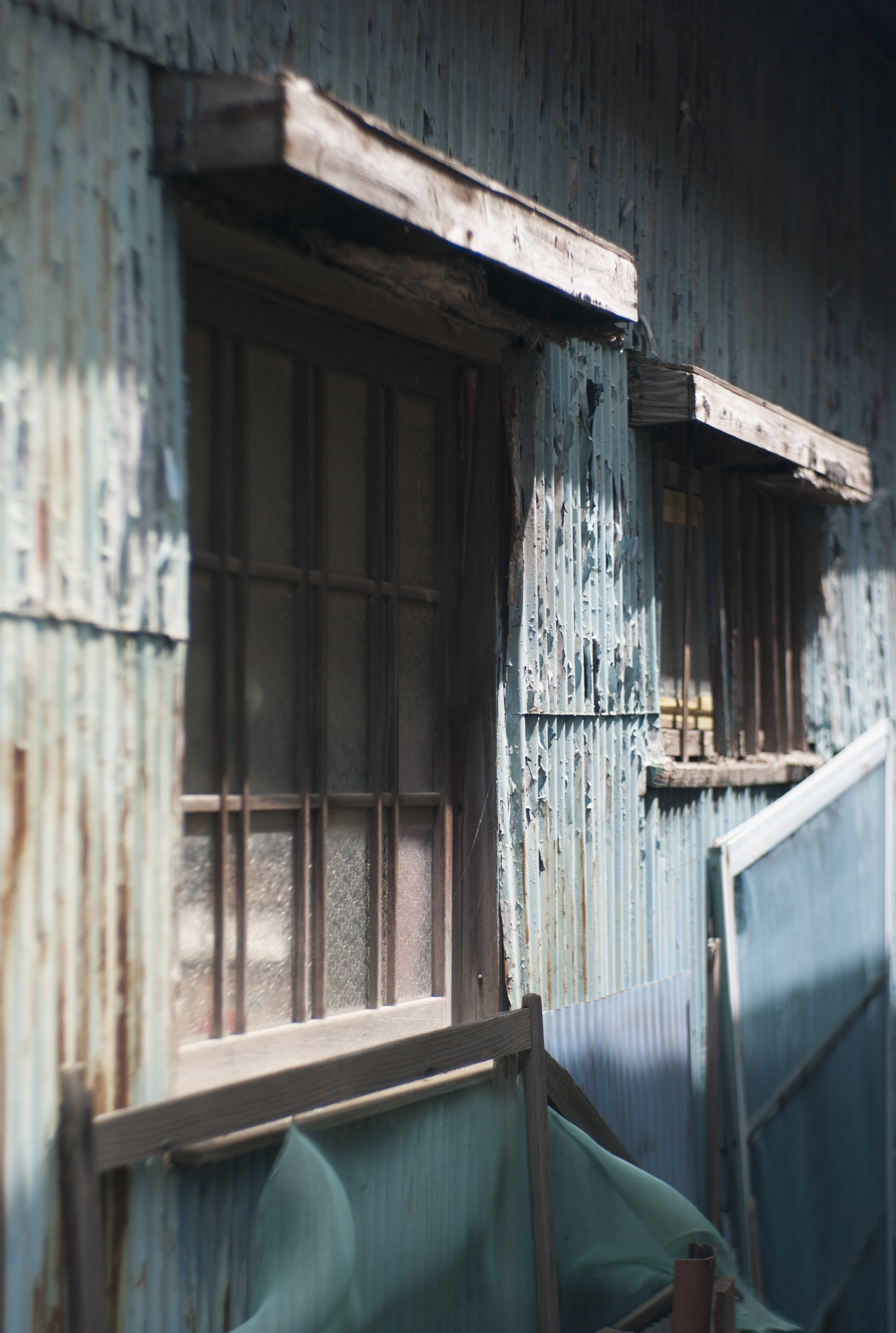 <b>M8 / Opton Sonnar 50mm F1.5 / 3,916×2,634 / 1/1,500秒 / F2 / 0EV / ISO160 / WB:オート / 50mm</b>