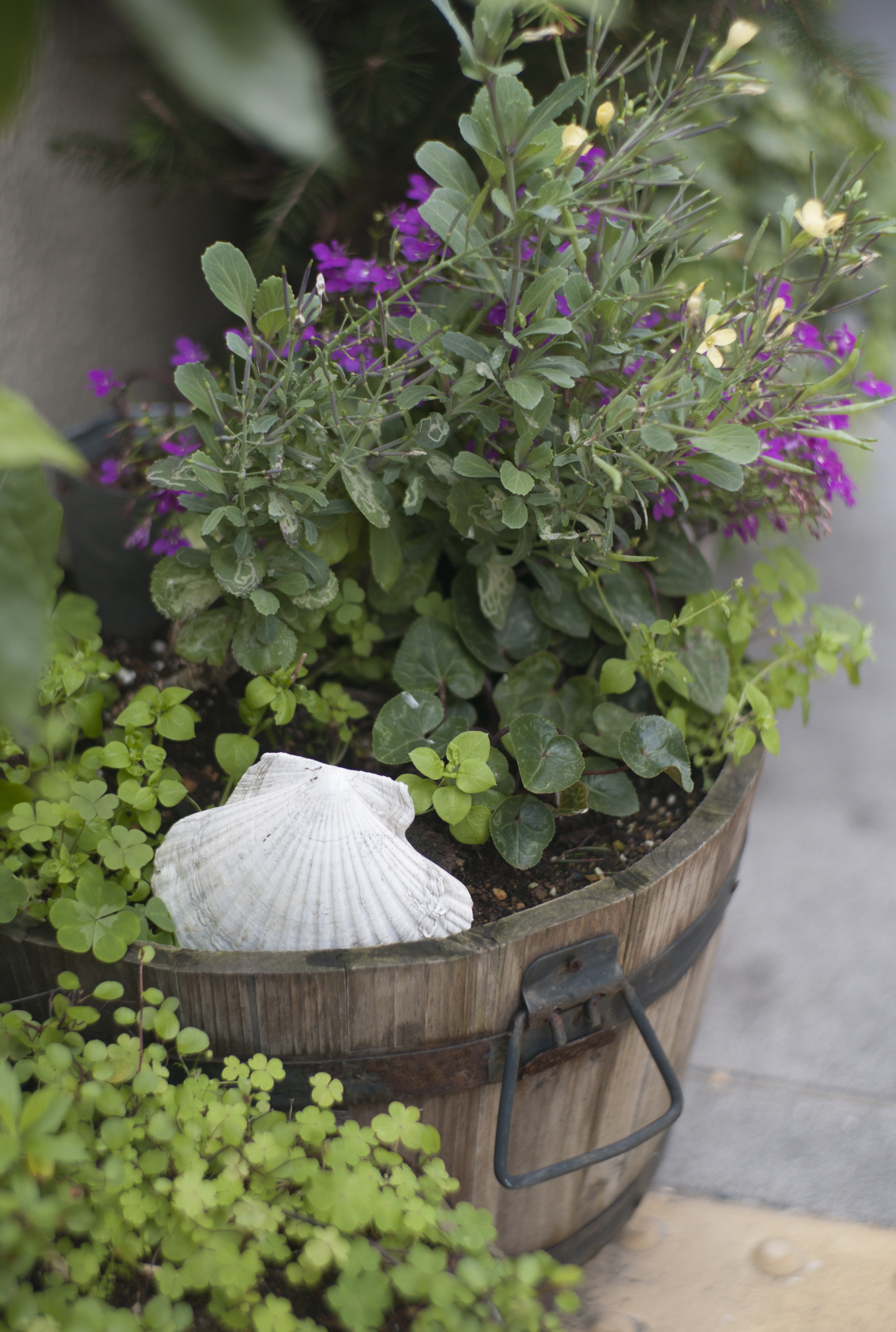 <b>M8 / Opton Sonnar 50mm F1.5 / 3,916×2,634 / 1/1,500秒 / F2 / 0EV / ISO160 / WB:オート / 50mm</b>