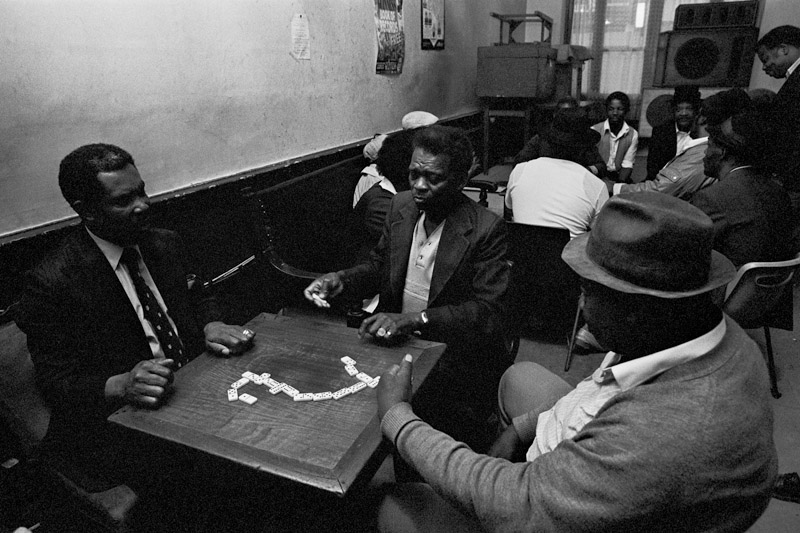 <b>（c）Masataka Ishida</b>