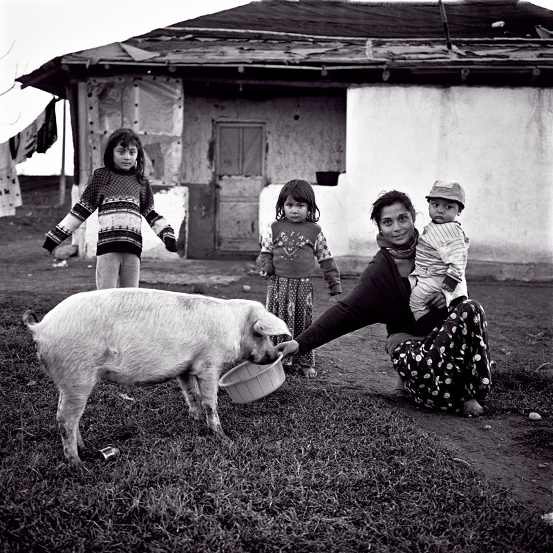 <b>（c）Masataka Ishida</b>