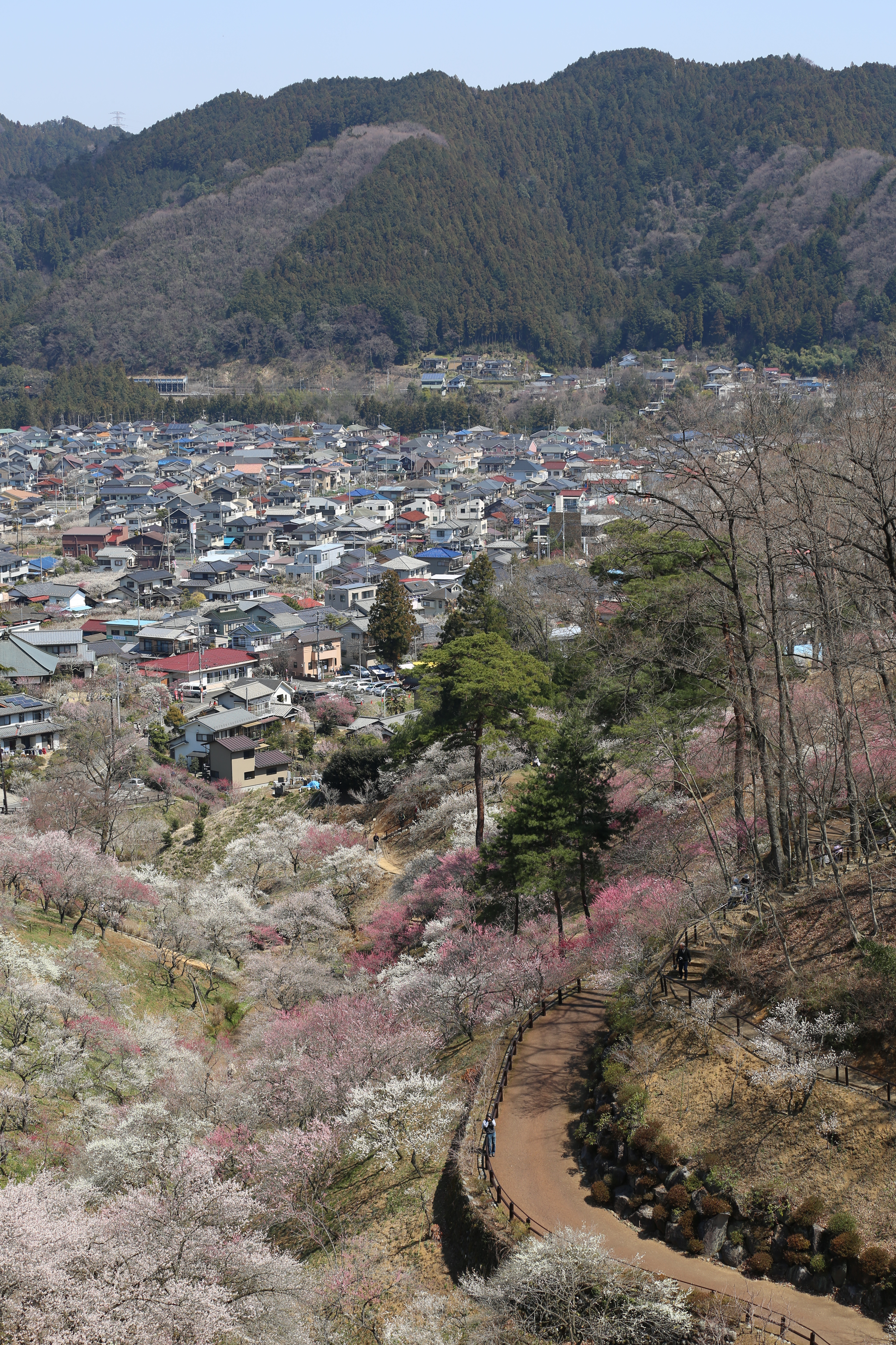 <b>EOS 5D Mark III / EF 70-300mm F4-5.6 IS USM / 約14.6MB / 3,840×5,760 / 1/250秒 / F8 / 0EV / ISO100 / 絞り優先AE / WB：オート / 70mm</b>