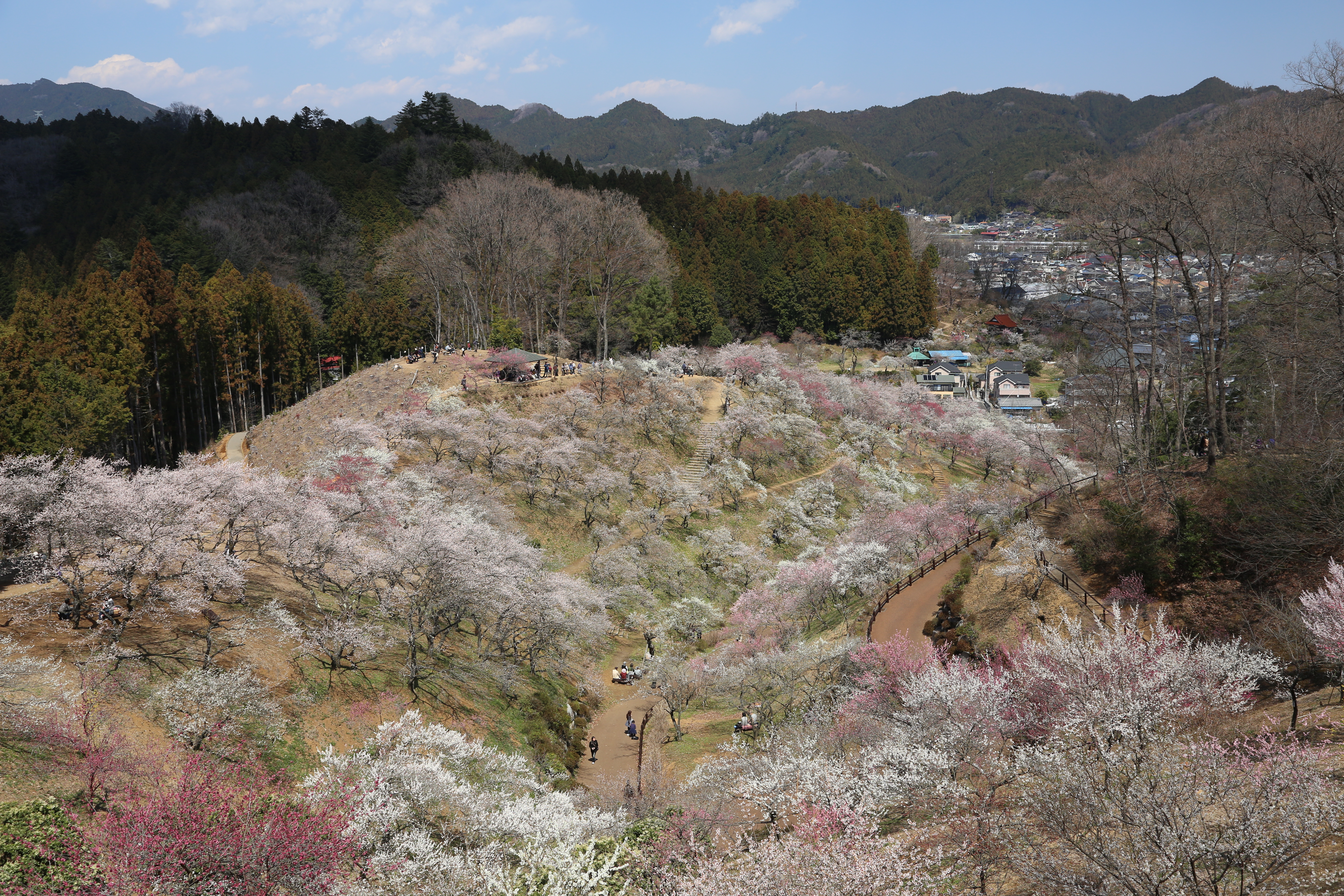 <b>EOS 5D Mark III / EF 24-105mm F4 L IS USM / 約14.6MB / 5,760×3,840 / 1/125秒 / F8 / 0EV / ISO200 / 絞り優先AE / WB：太陽光 / 32mm</b>