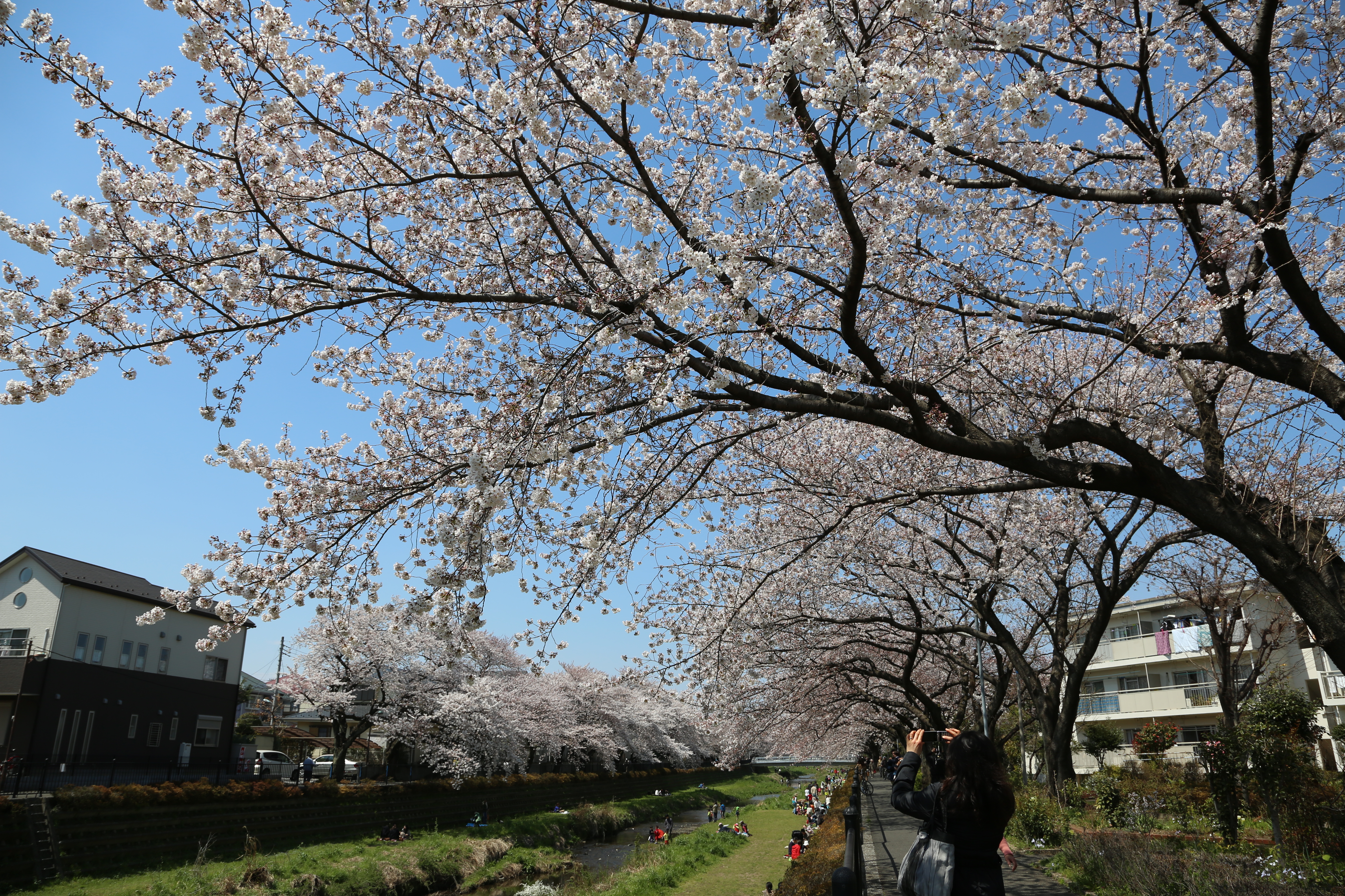<b>EOS 5D Mark III / EF 24-105mm F4 L IS USM / 約13.4MB / 5,760×3,840 / 1/320秒 / F8 / +0.3EV / ISO100 / 絞り優先AE / WB：オート / 24mm</b>