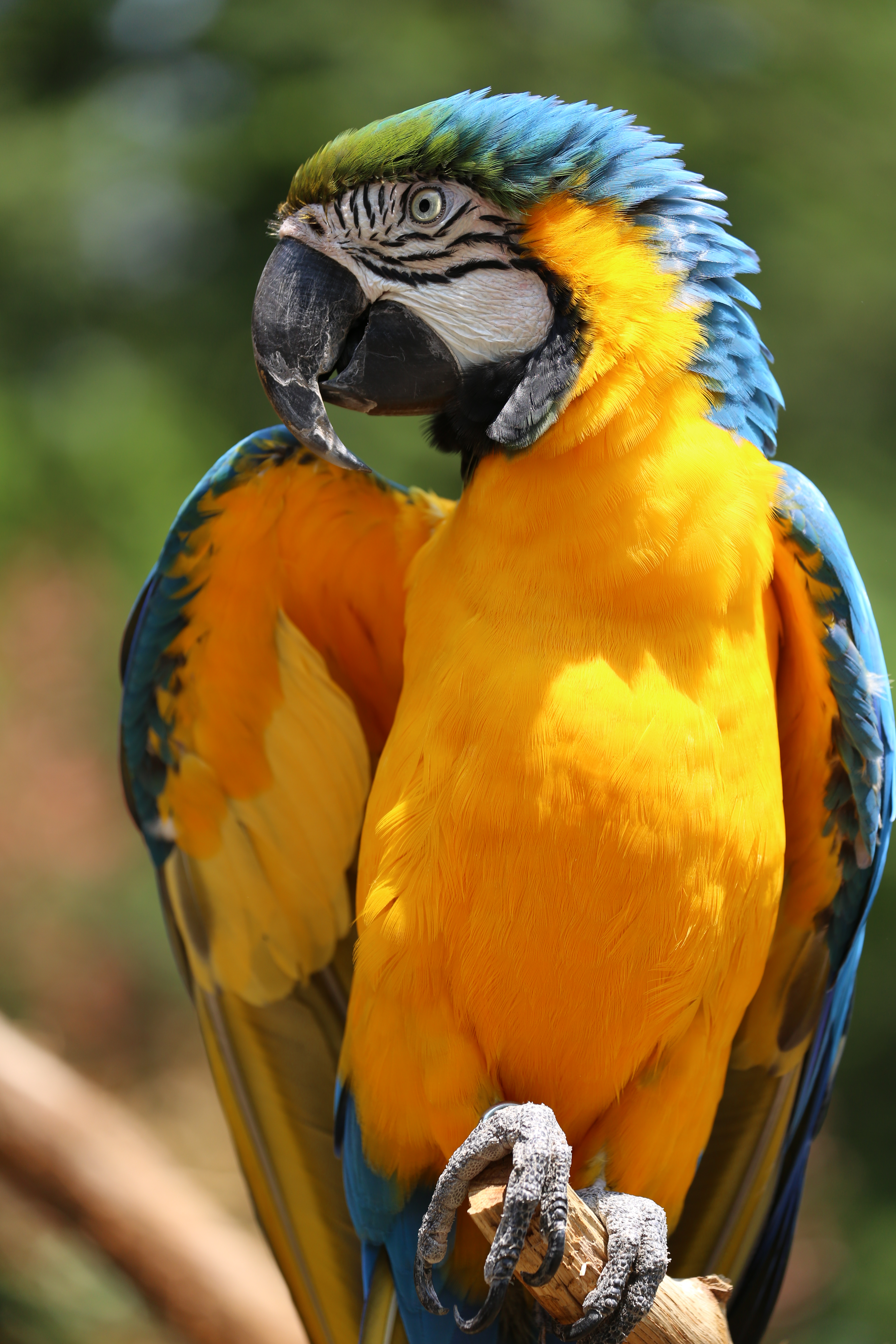 <b>EOS 5D Mark III / EF 70-300mm F4-5.6 IS USM / 約6.8MB / 3,840×5,760 / 1/800秒 / F5 / -0.3EV / ISO320 / シャッター速度優先AE / WB：オート / 170mm</b>