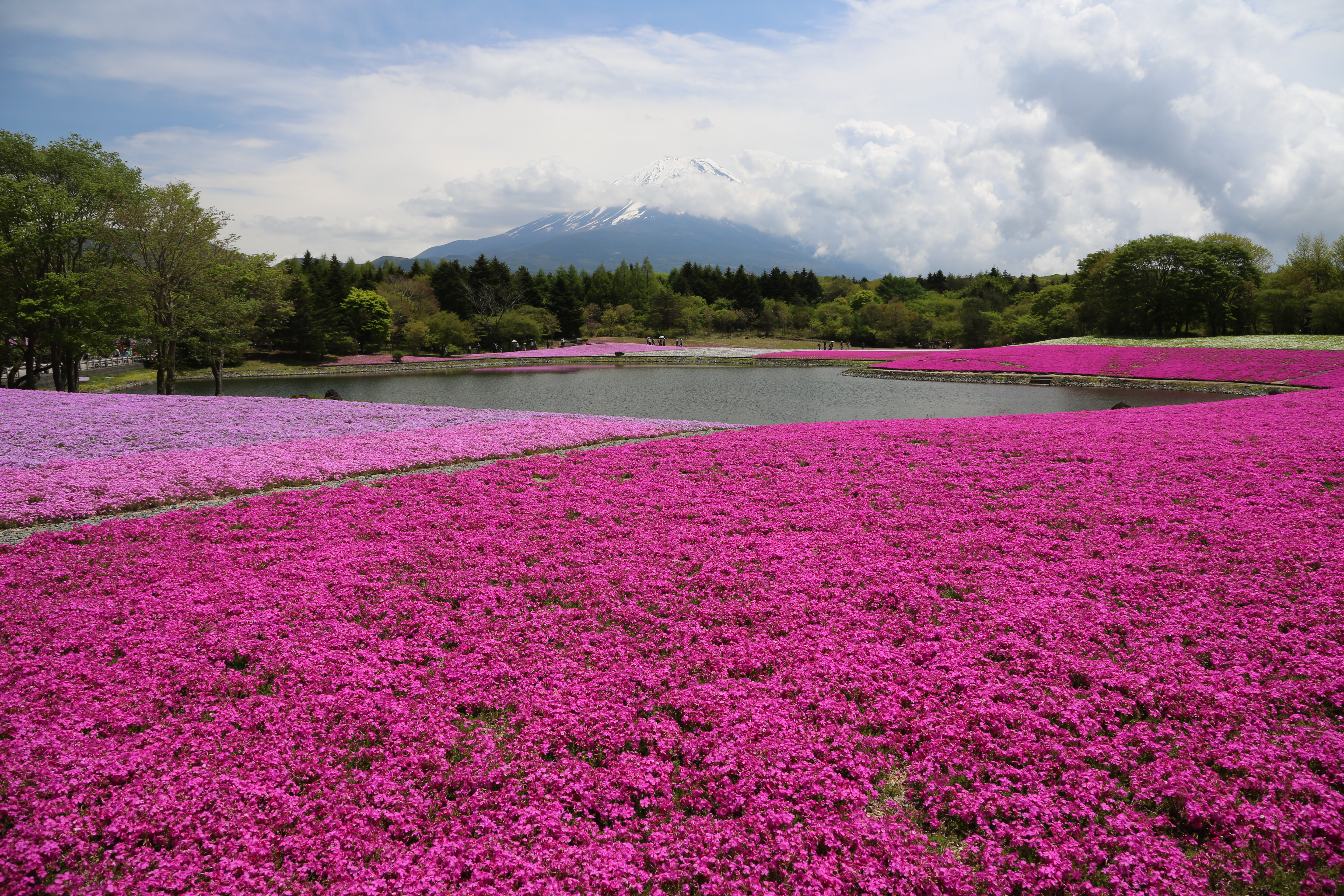 <b>EOS 5D Mark III / EF 24-105mm F4 L IS USM / 約12.9MB / 5,760×3,840 / 1/200秒 / F9 / -0.3EV / ISO200 / 絞り優先AE / WB：オート / 24mm</b>