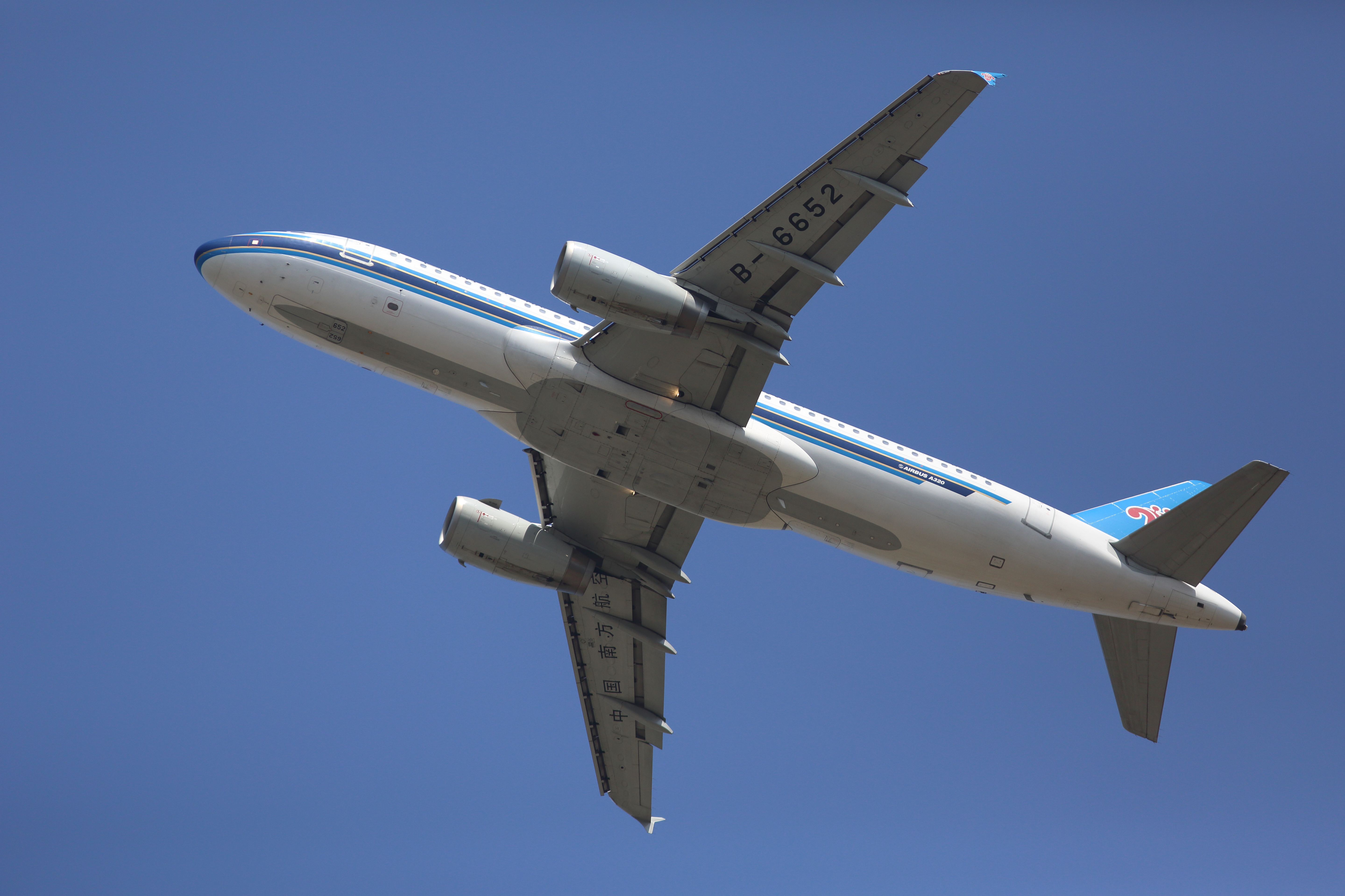 <b>EOS 5D Mark III / EF 300mm F4 L IS USM / 約8.4MB / 5,760×3,840 / 1/5,000秒 / F4.5 / -0.3EV / ISO320 / 絞り優先AE / WB：オート / 300mm</b>