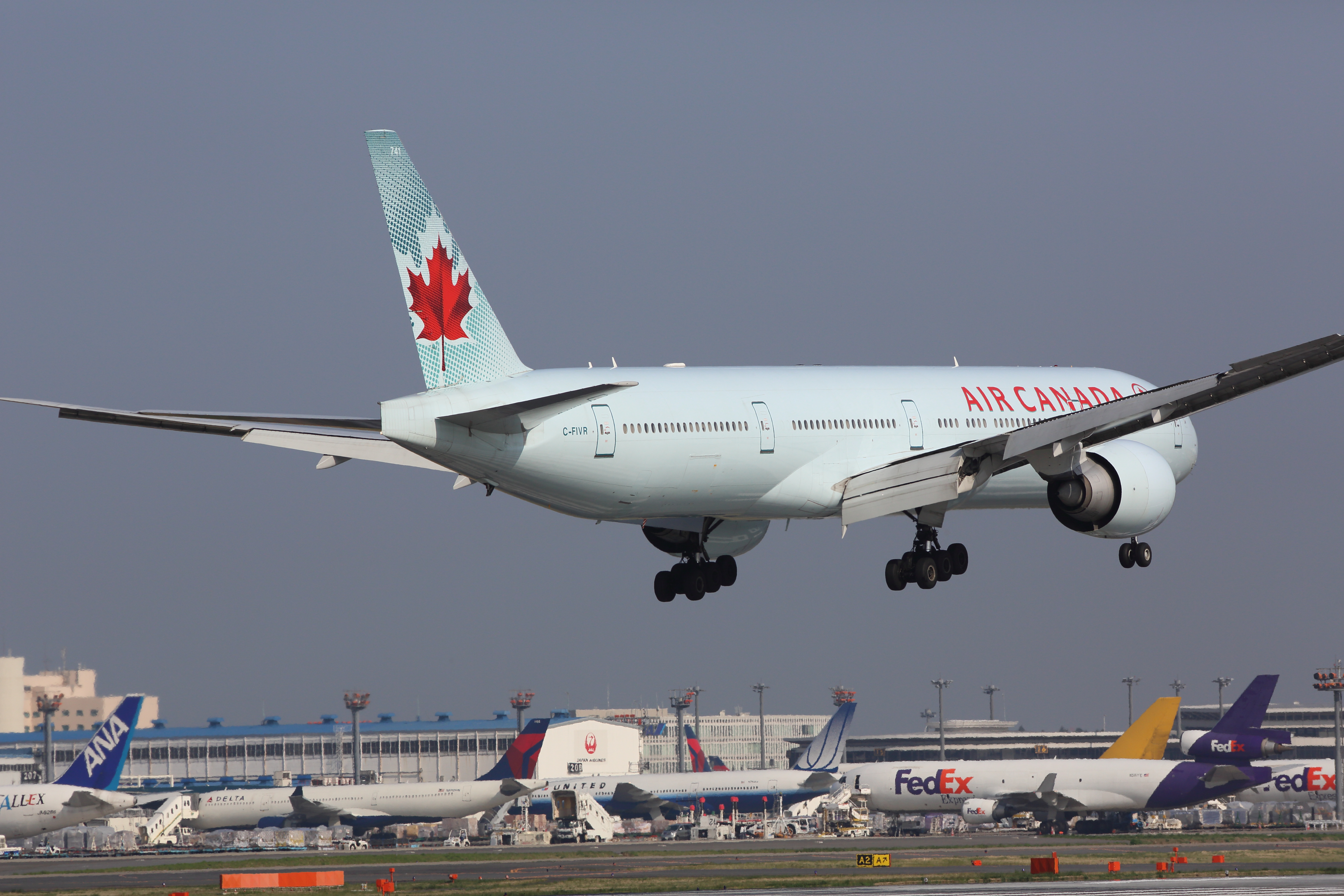 <b>EOS 5D Mark III / EF 300mm F4 L IS USM / 約8.7MB / 5,760×3,840 / 1/2,500秒 / F8 / -0.3EV / ISO400 / 絞り優先AE / WB：オート / 300mm</b>