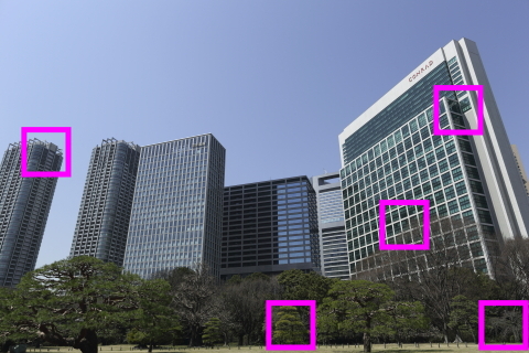 <b>このシーンを5D2と5D3でそれぞれRAW撮影し、カメラ内現像、DPP現像、DPPのデジタルレンズオプティマイザを適用量75で現像した。四角の部分を等倍で切り出しキャプチャしたものを下に掲載する。</b>