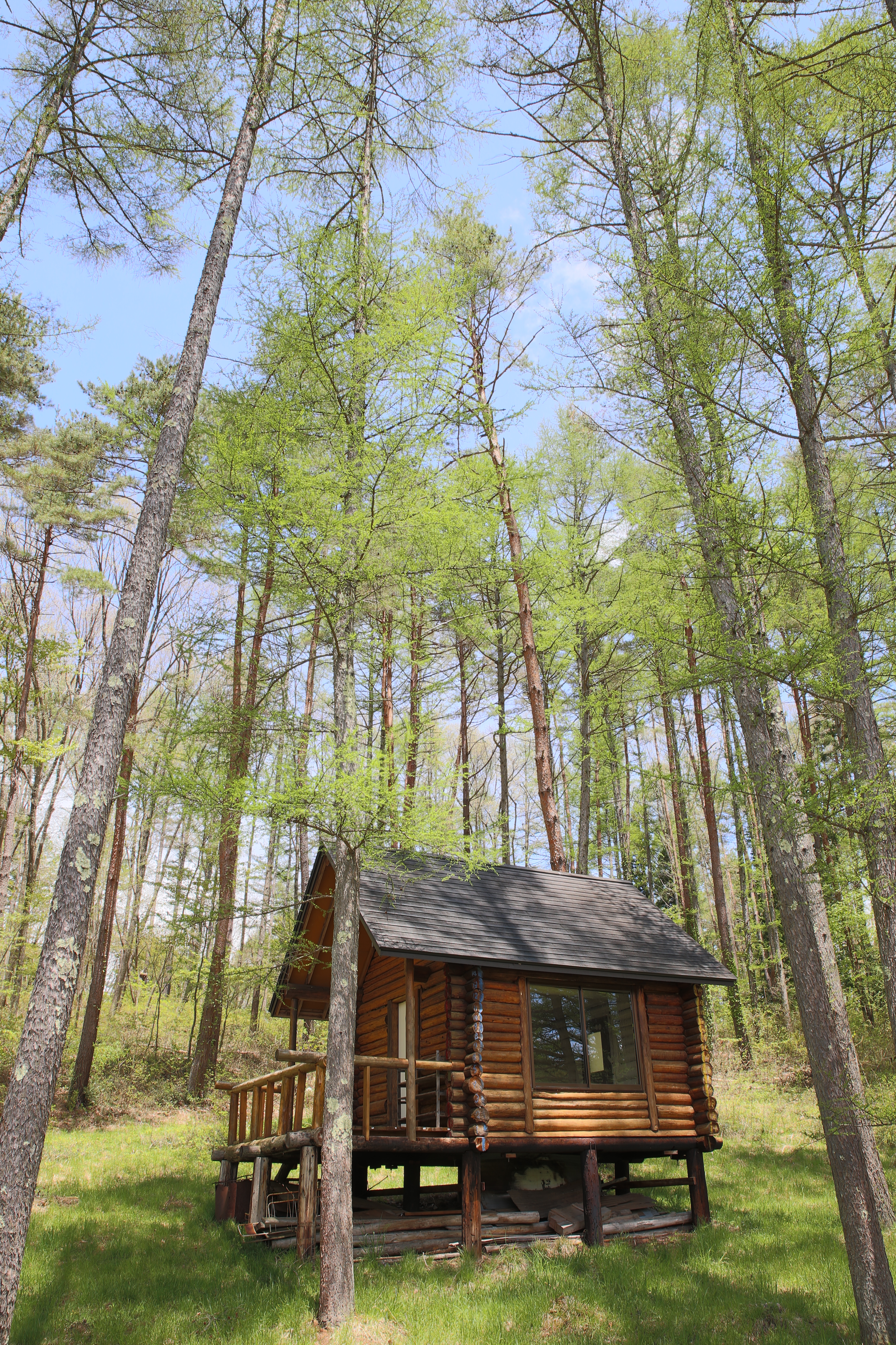 <b>EOS 5D Mark III / SP 24-70mm F2.8 Di VC USD / 約15.5MB / 3,840×5,760 / 1/50秒 / F8 / 0EV / ISO100 / 絞り優先AE / WB：オート / 24mm</b>