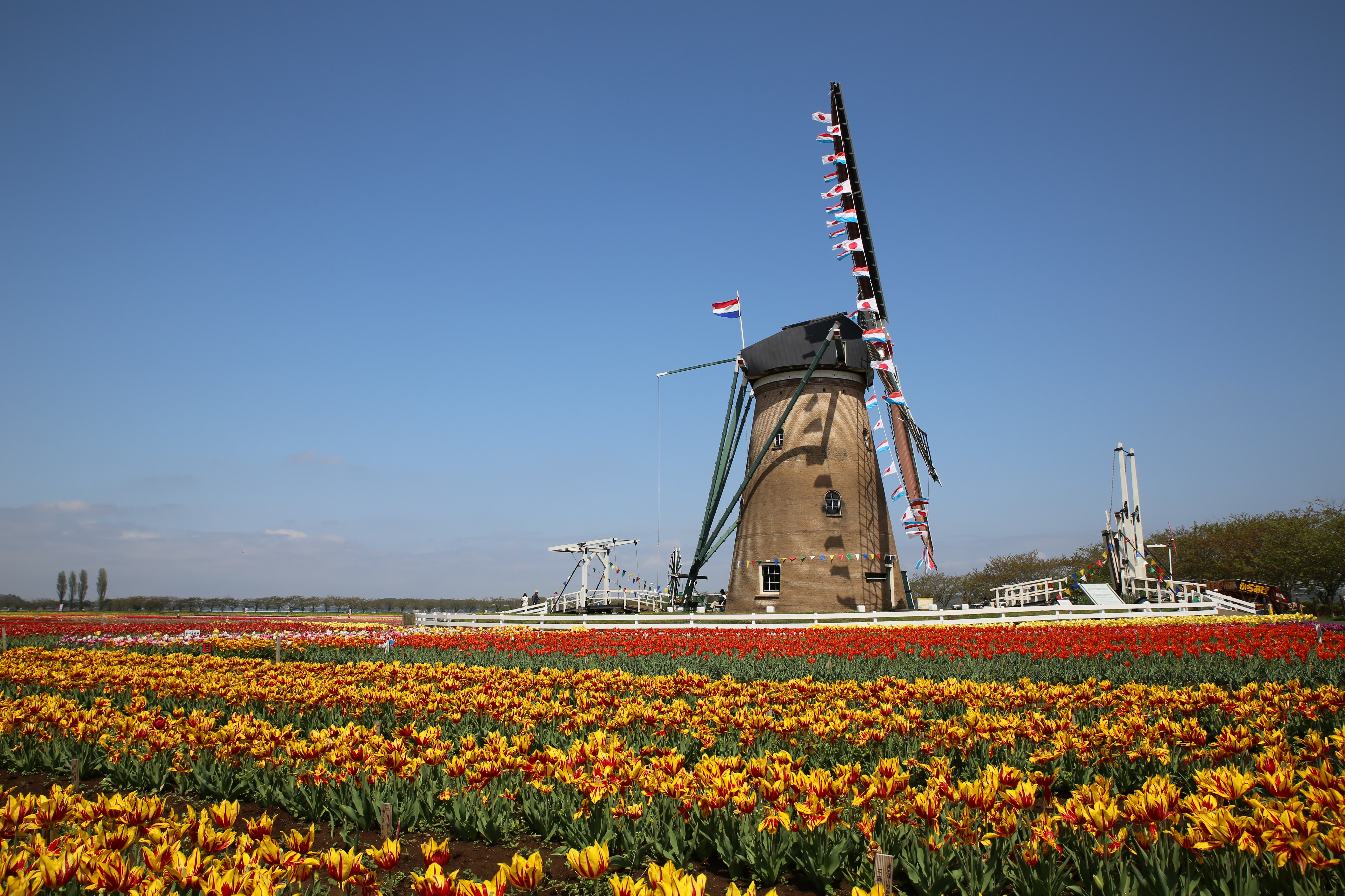 <b>ピクチャースタイル：オート</b>