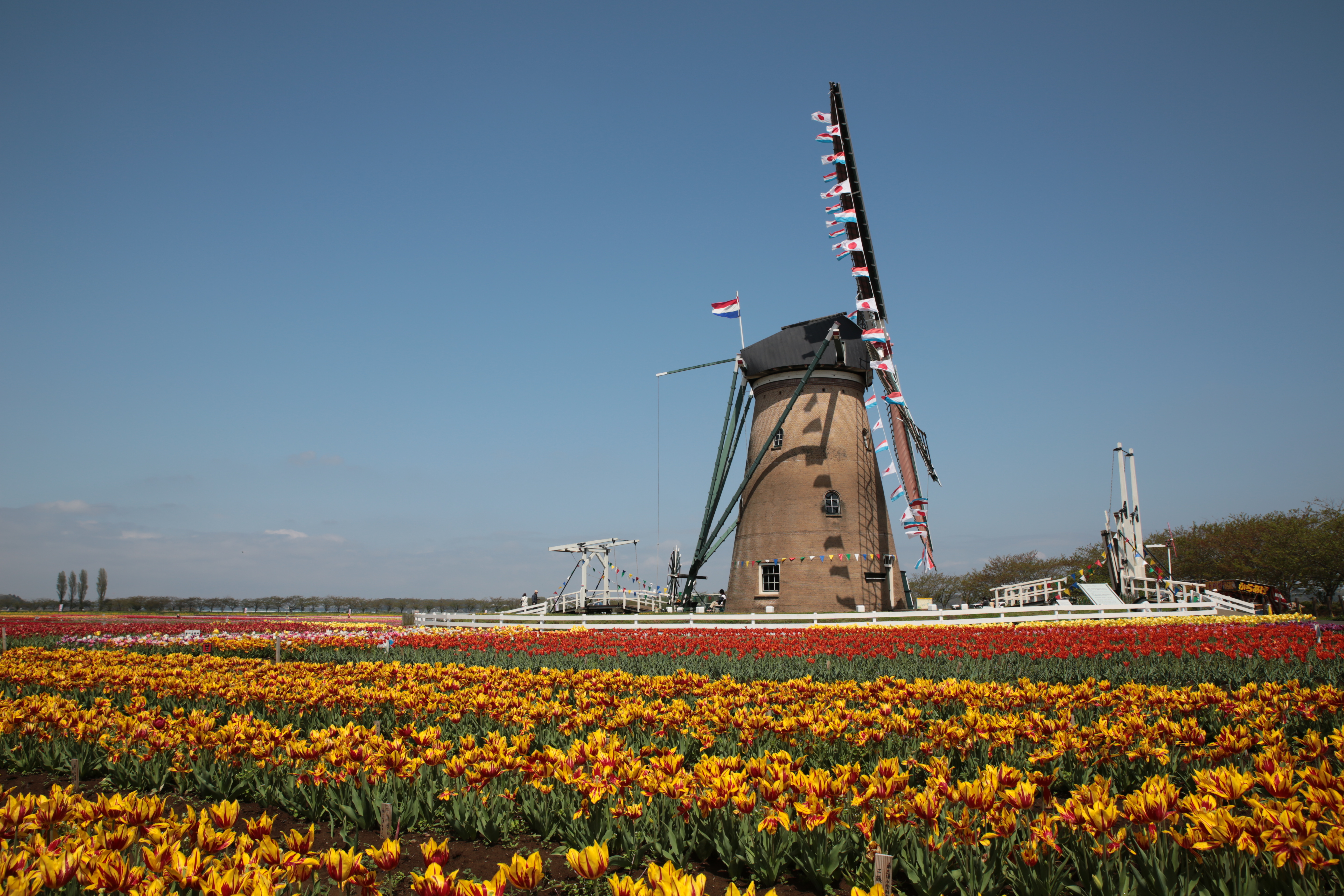 <b>ピクチャースタイル：忠実設定</b>