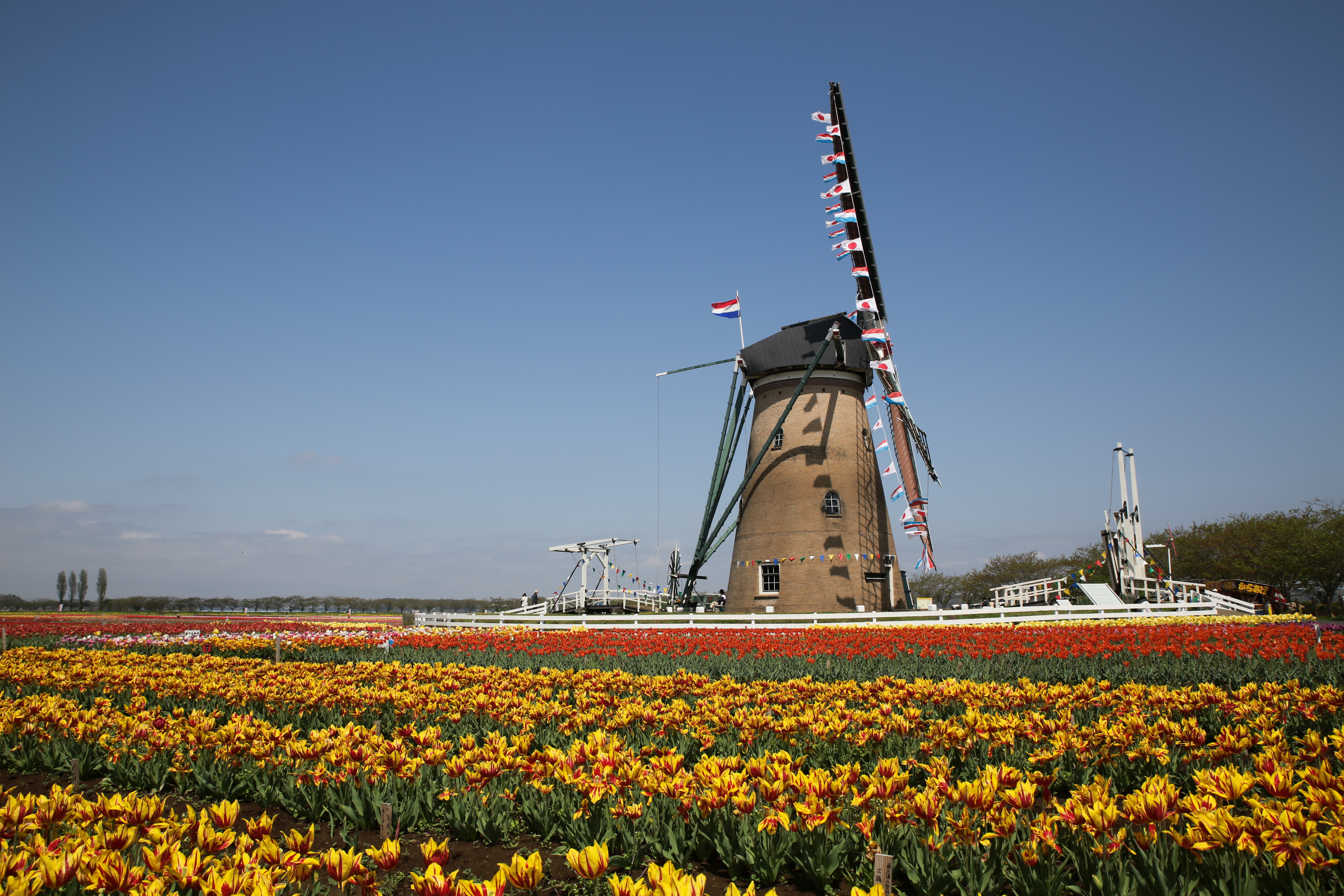 <b>ピクチャースタイル：ポートレートスナップショット</b>