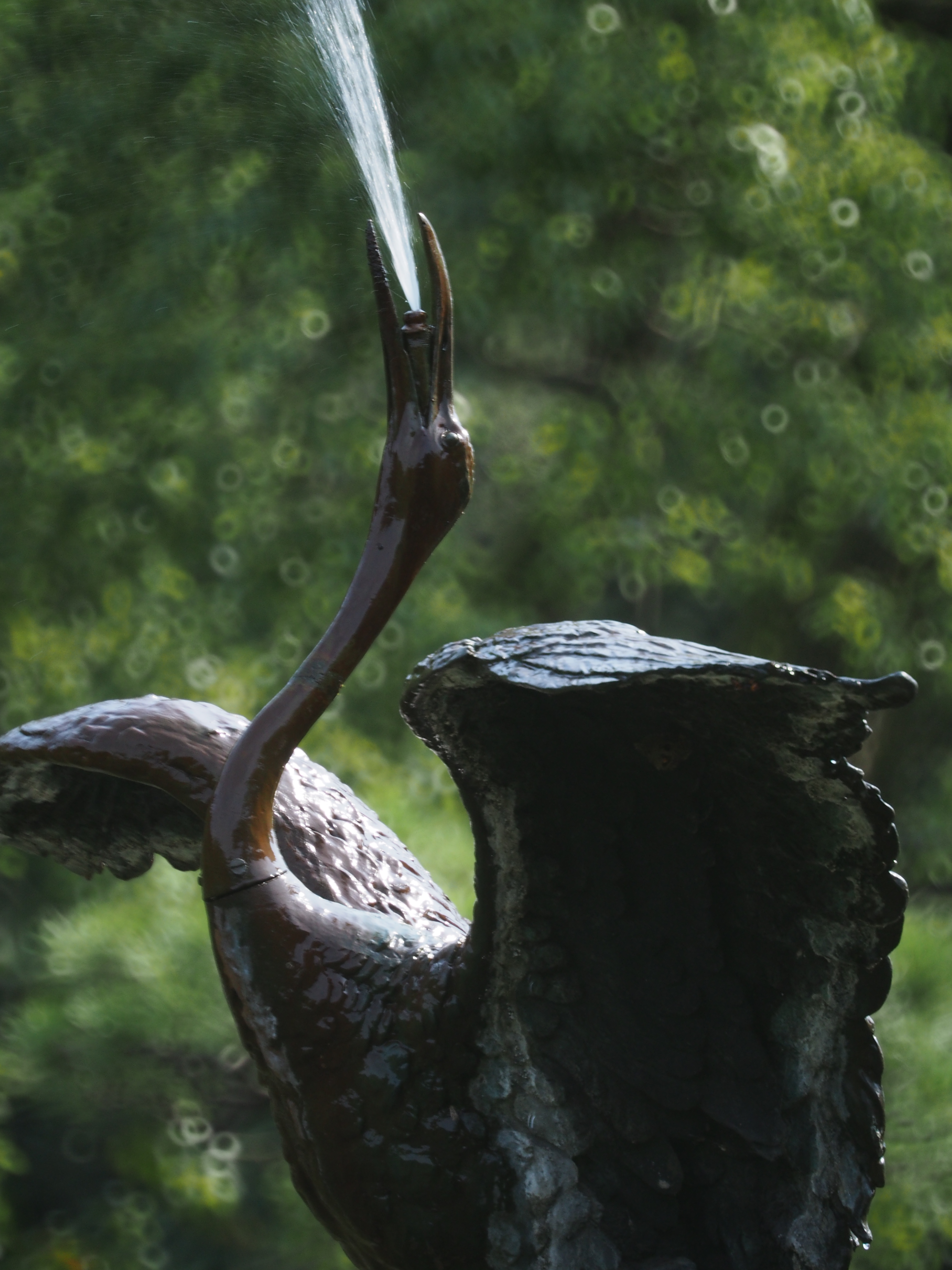 <b>E-M5 / Reflex 300mm F6.3 MF MACRO / 約7.1MB / 3,456×4,608 / 1/250秒 / F6.3 / -1.0EV / ISO500 / WB:オート / 300mm</b>