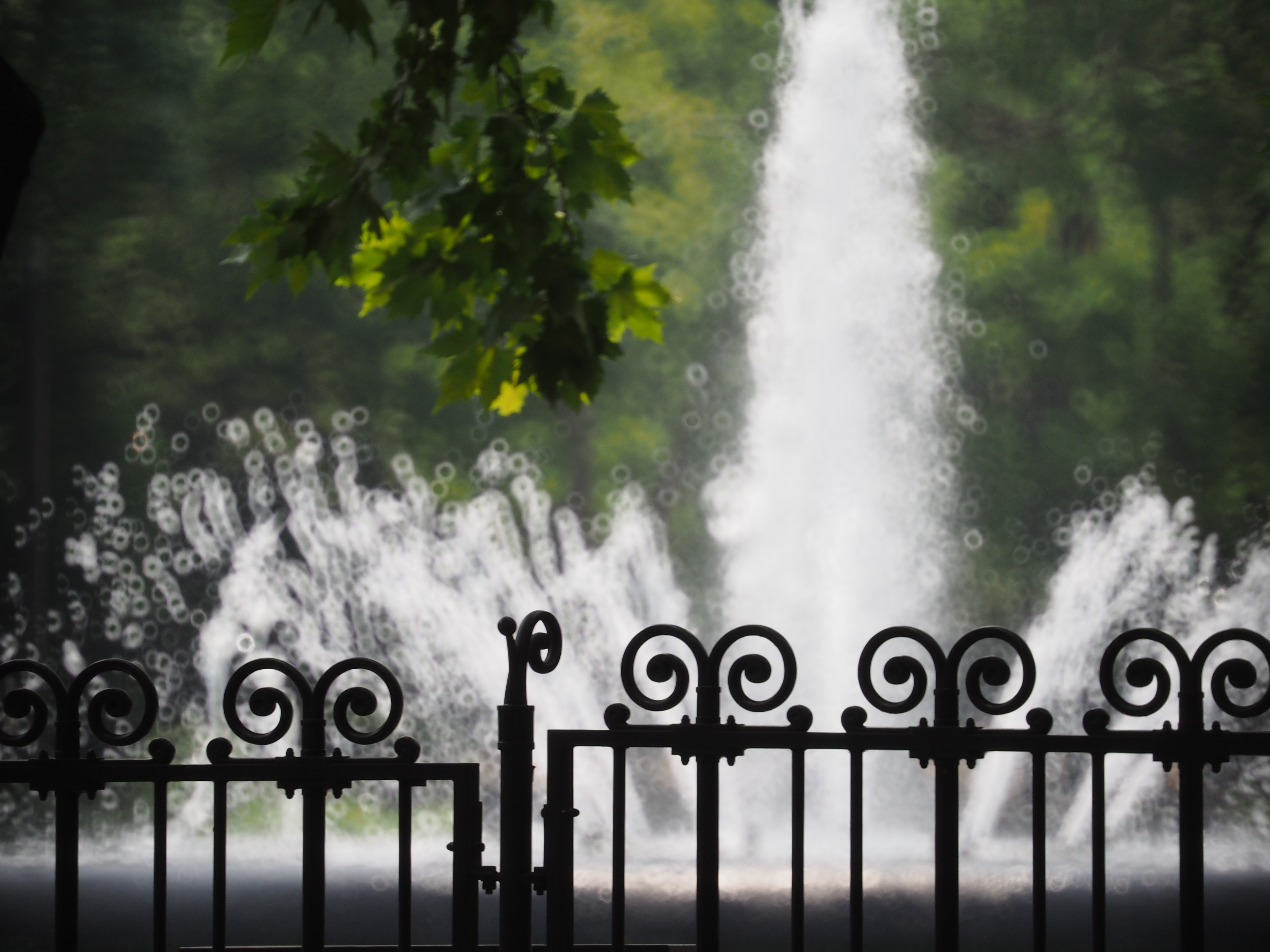 <b>E-M5 / Reflex 300mm F6.3 MF MACRO / 約6.3MB / 4,608×3,456 / 1/320秒 / F6.3 / +0.3EV / ISO250 / WB:オート / 300mm</b>