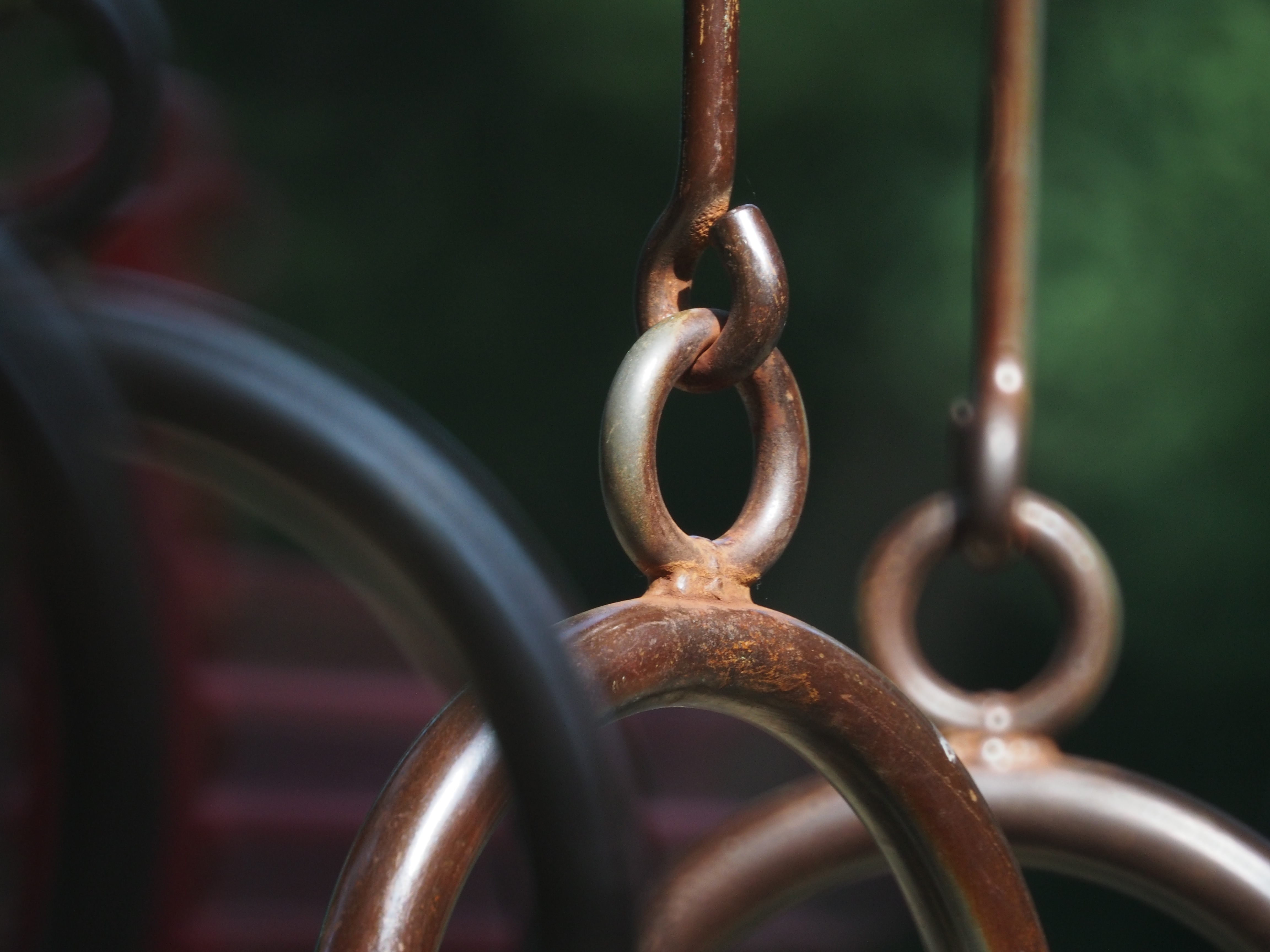 <b>E-M5 / Reflex 300mm F6.3 MF MACRO / 約6.8MB / 4,608×3,456 / 1/320秒 / F6.3 / -1.3EV / ISO800 / WB:オート / 300mm</b>