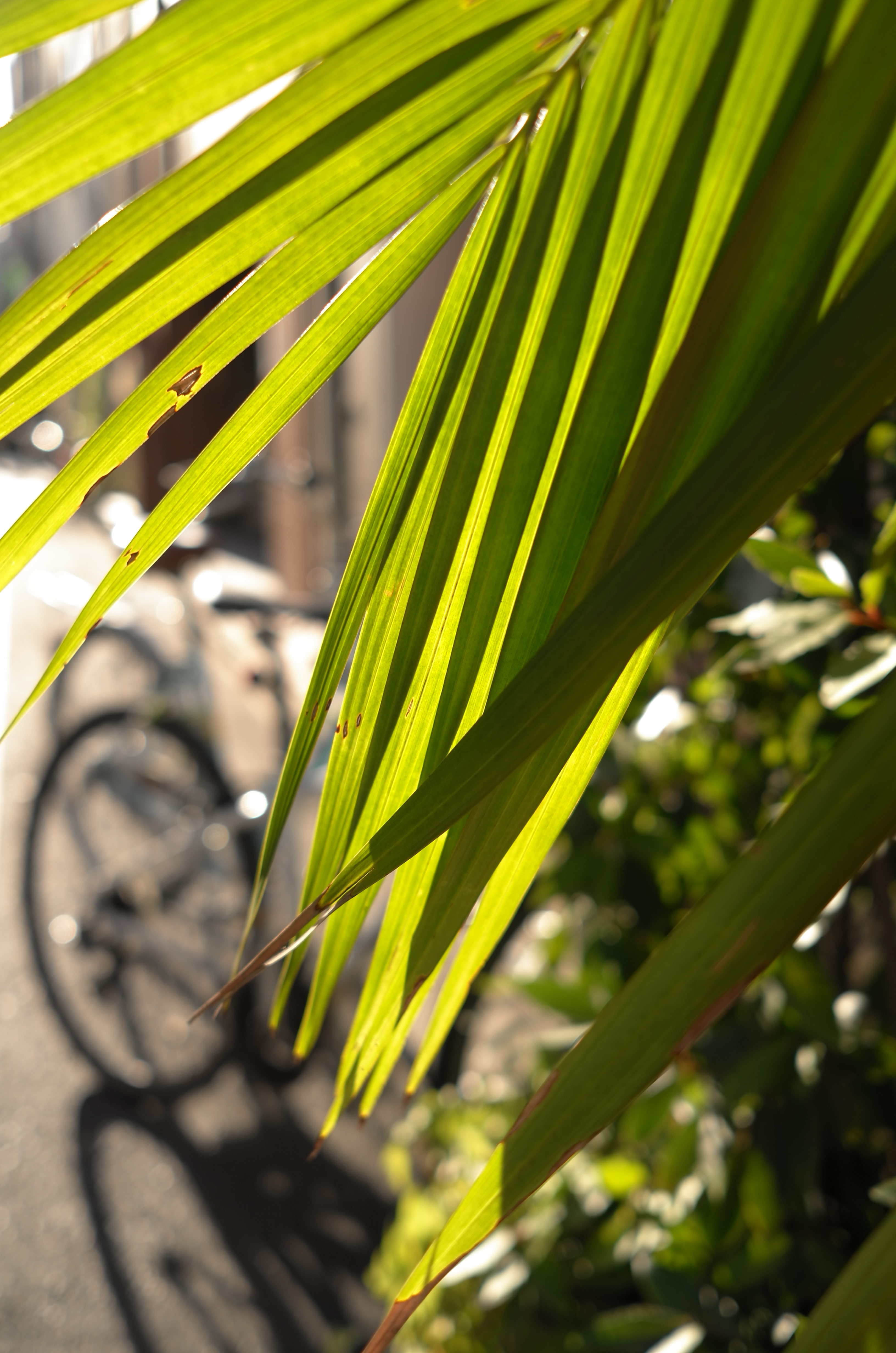 <b>X2 / 約4.9MB / 3,264×4,928 / 1/320秒 / F3.2 / 0EV / ISO100 / 絞り優先AE / WB：オート / 24mm</b>