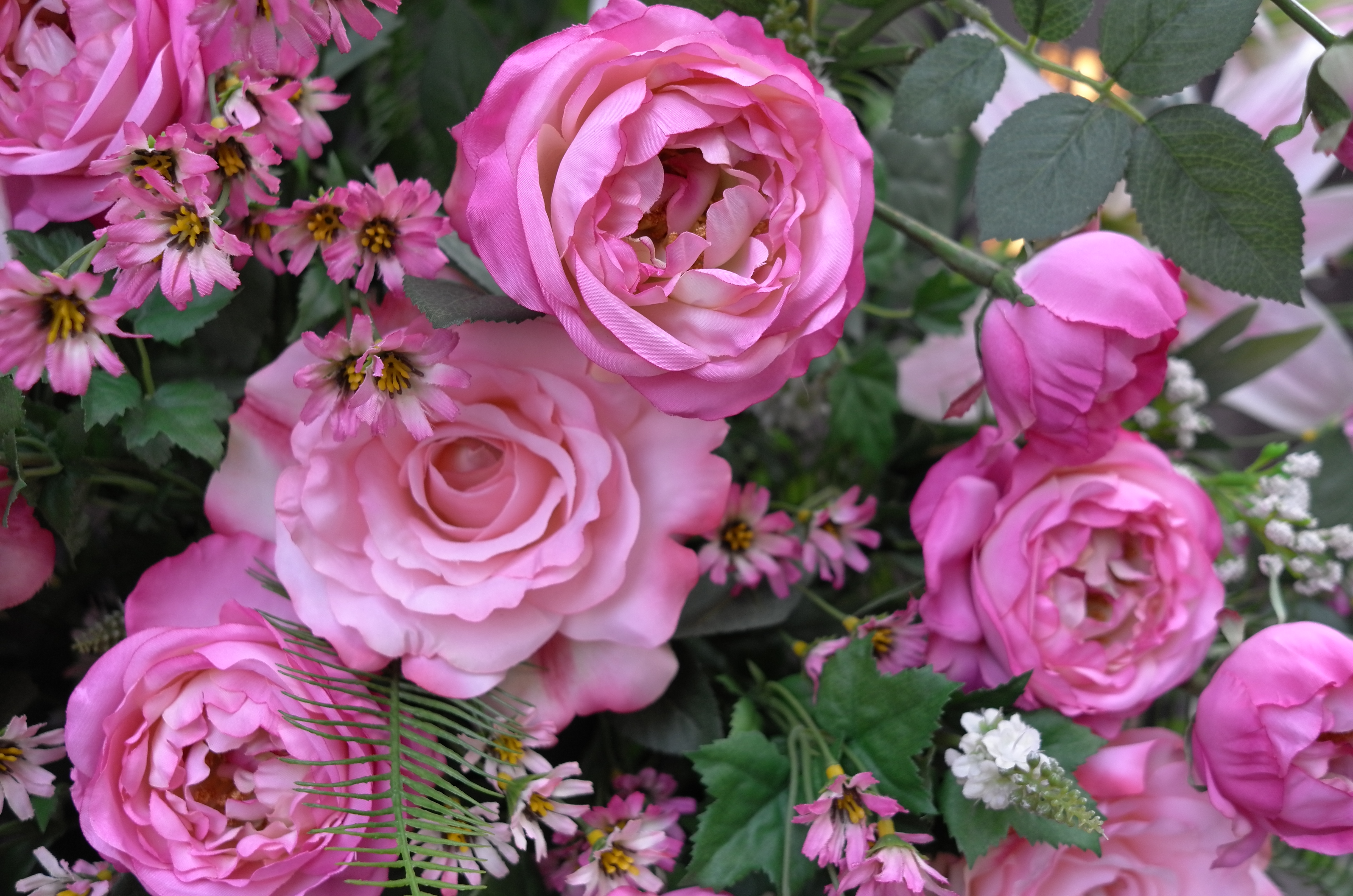 <b>X2 / 約7MB / 4,928×3,264 / 1/80秒 / F4 / -0.3EV / ISO400 / 絞り優先AE / WB：オート / 24mm</b>