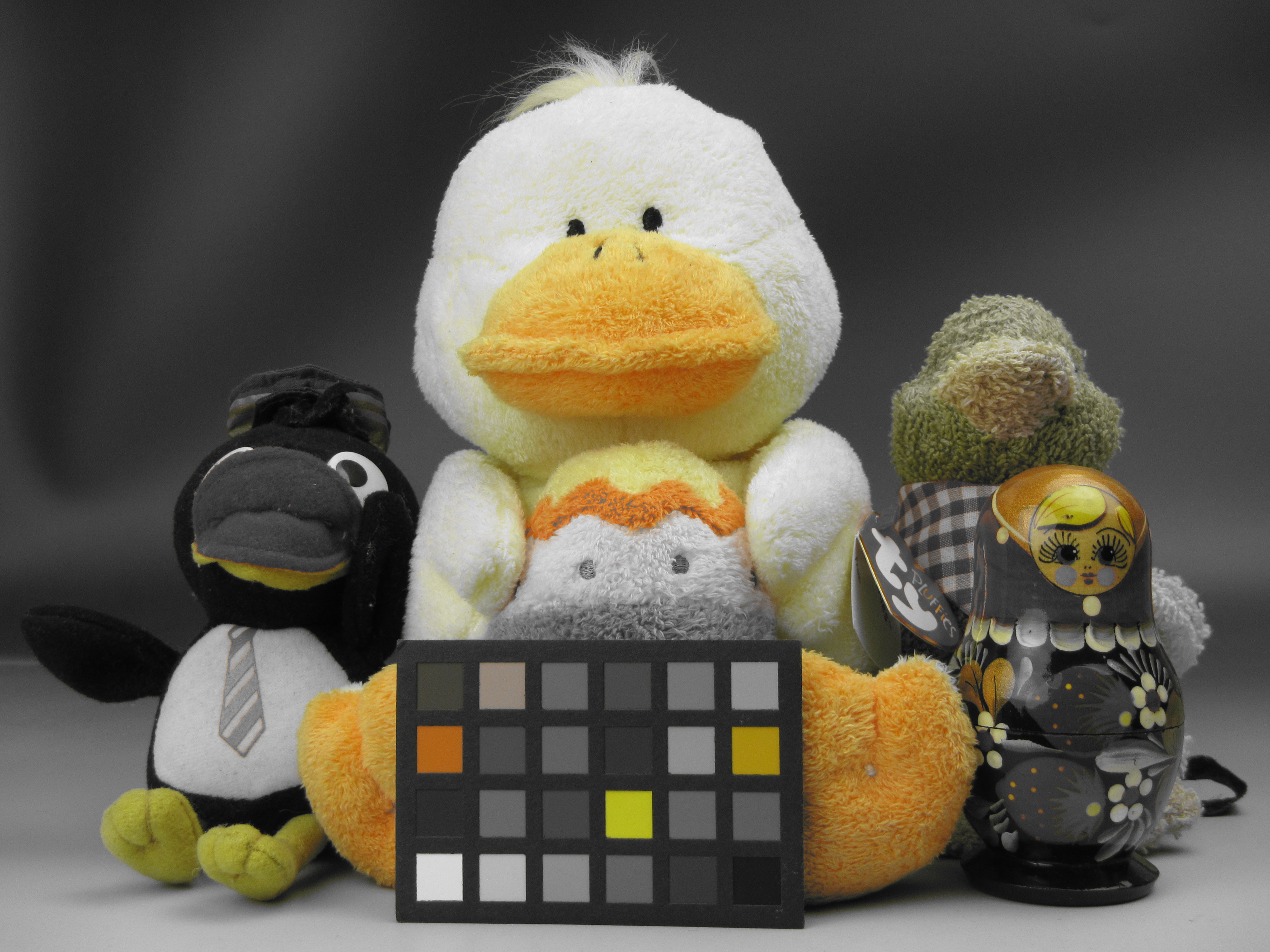 <b>ワンポイントカラー / PowerShot D20 / 約2.4MB / 4,000×3,000 / 1/100秒 / F3.9 / 0.0EV / ISO160 / WB:オート / 9.4mm</b>