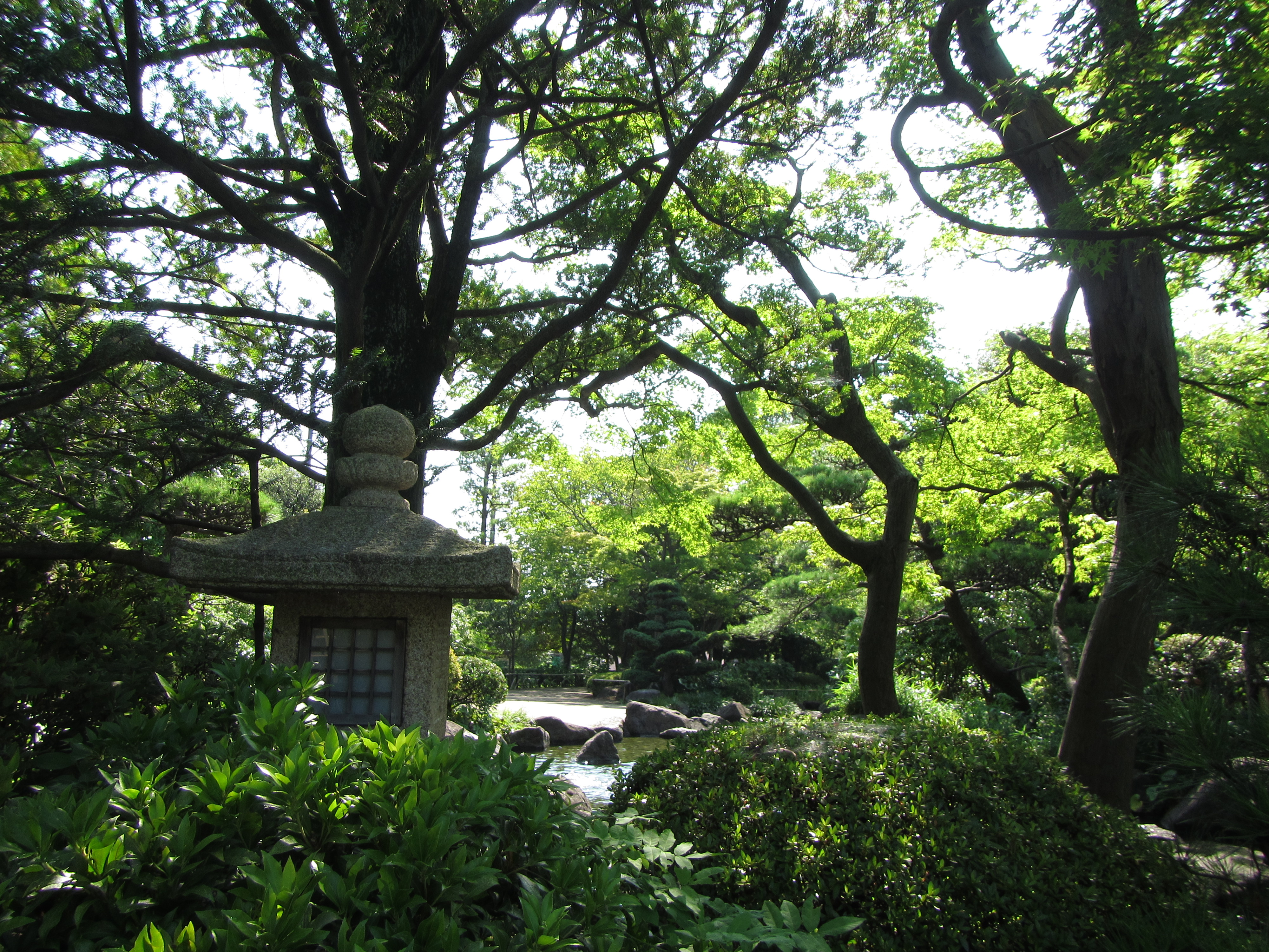 <b>i-コントラストOFF / PowerShot D20 / 約4.4MB / 4,000×3,000 / 1/160秒 / F3.9 / 0.0EV / ISO100 / WB:オート / 5mm</b>