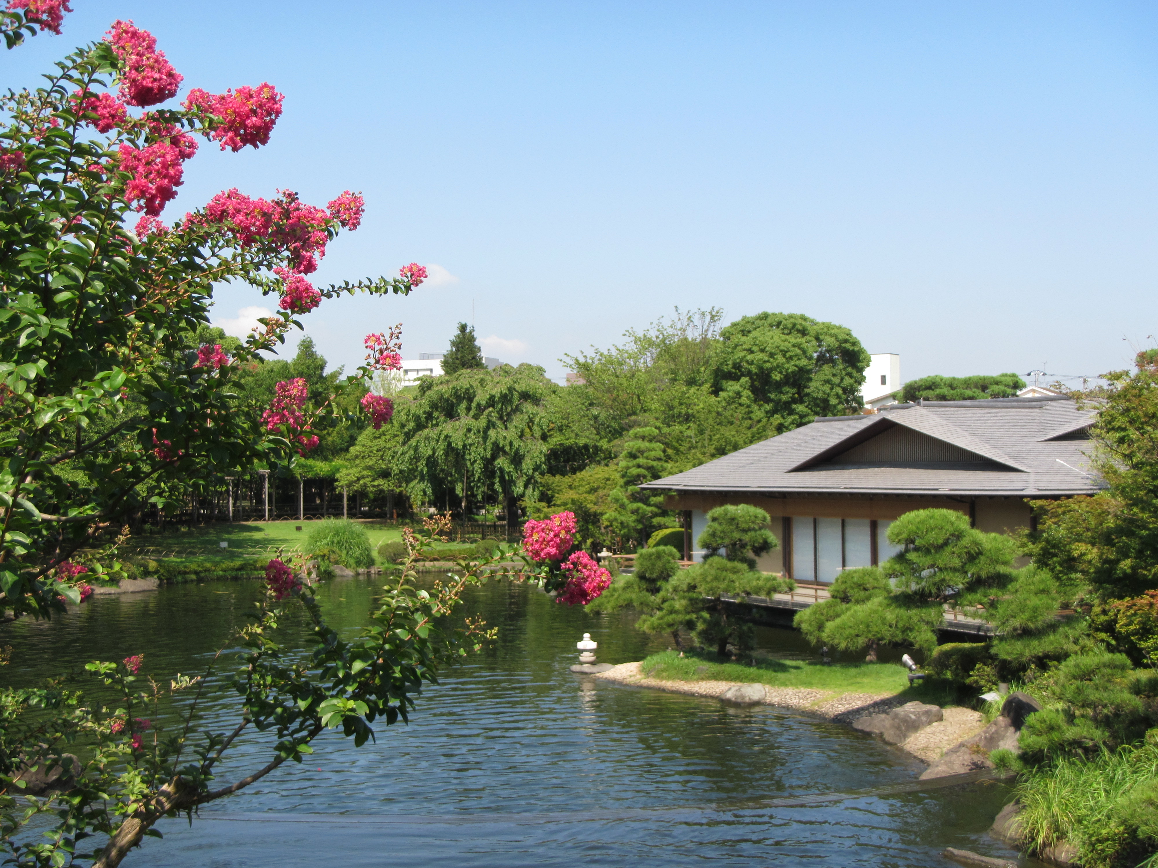 <b>PowerShot D20 / 約3.1MB / 4,000×3,000 / 1/500秒 / F3.9 / 0.0EV / ISO100 / WB:オート / 8.6mm</b>