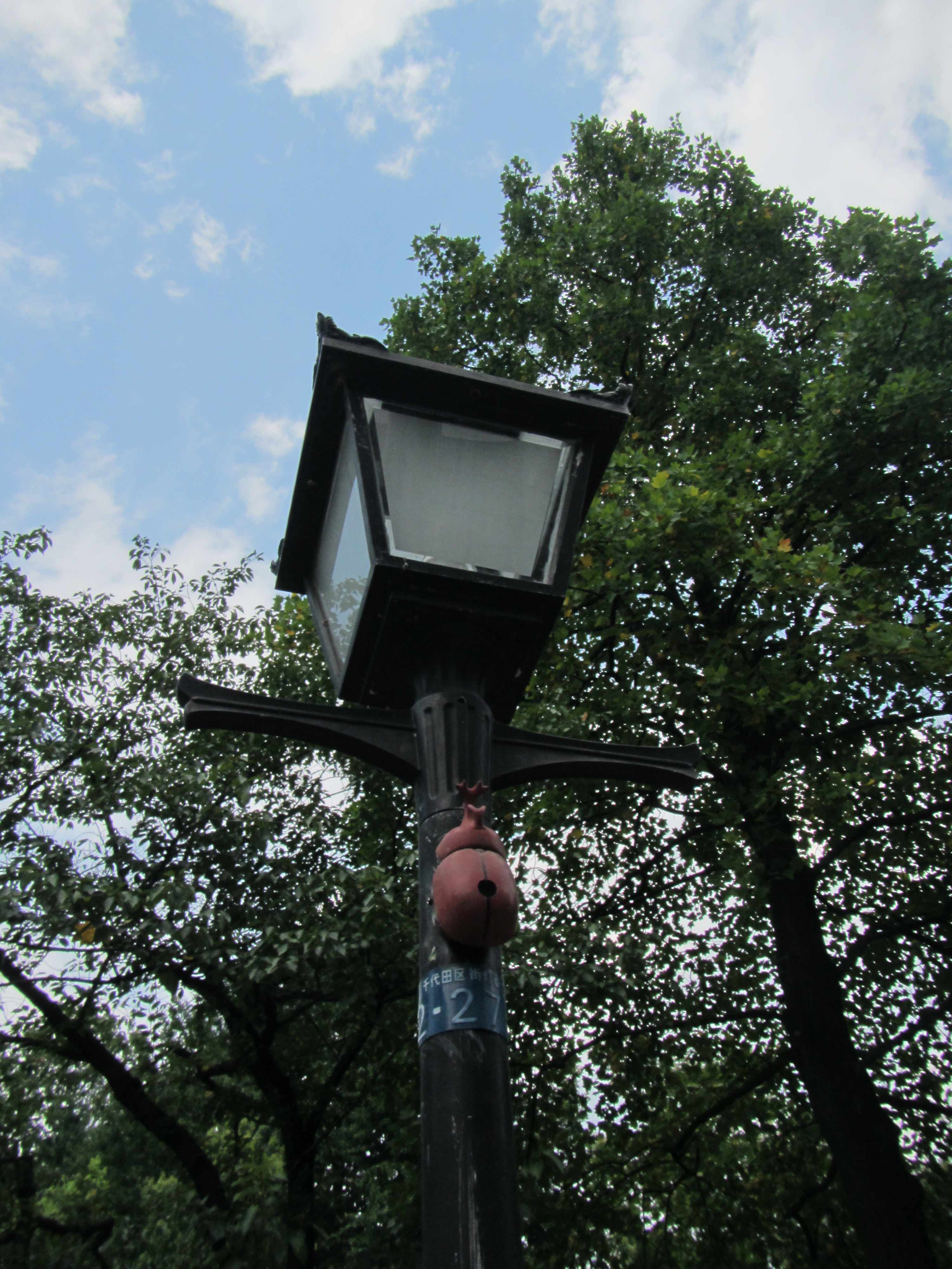 <b>PowerShot D20 / 約2.6MB / 3,000×4,000 / 1/500秒 / F8 / 0.0EV / ISO320 / WB:太陽光 / 5mm</b>