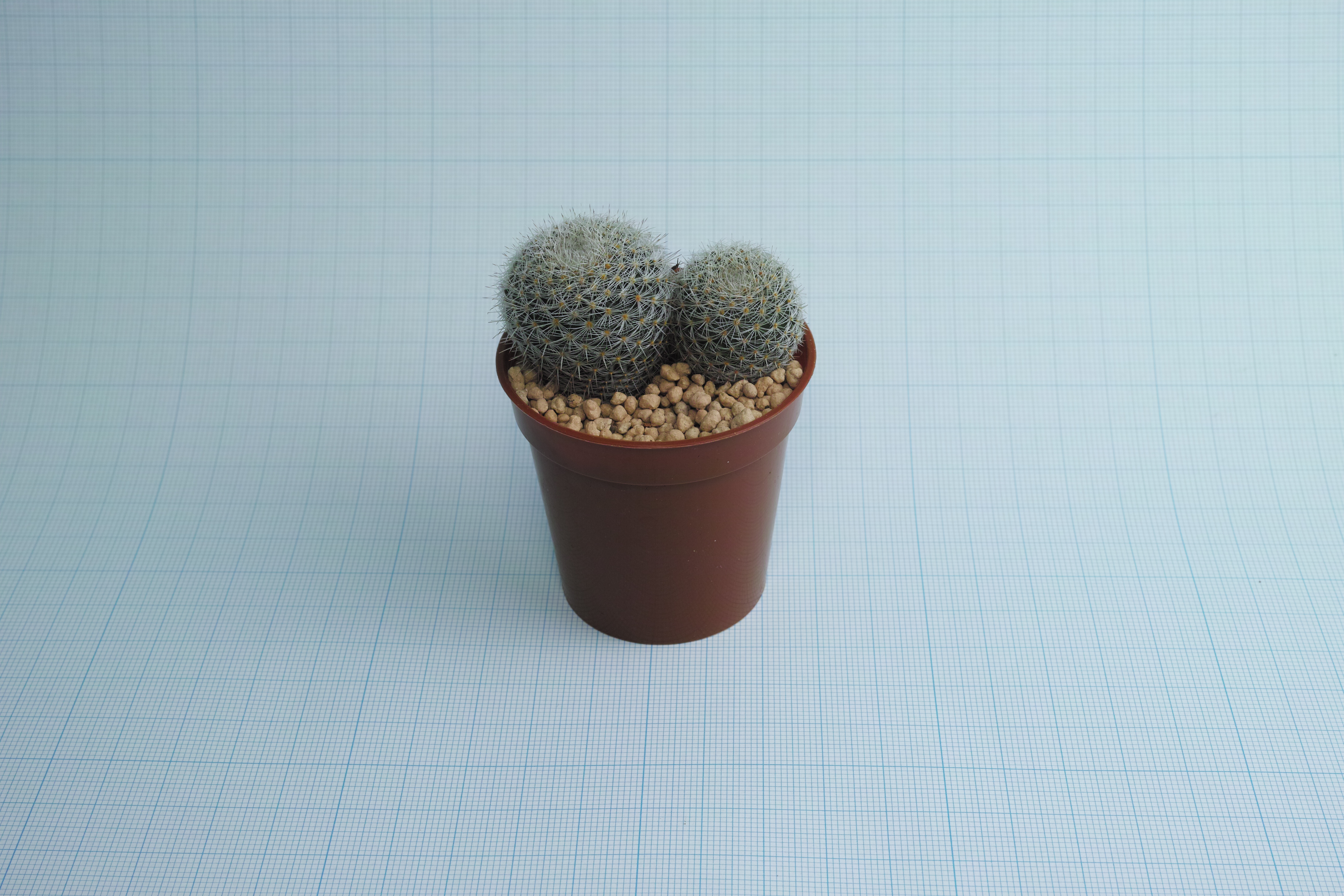 <b>クローズアップレンズ「AML-2」使用 / 撮影距離設定∞ / DP2 Merrill / 約7.7MB / 4,704×3,136 / 1/125秒 / F11 / 0EV / ISO200 / マニュアル露出 / WB：晴れ / 30mm</b>